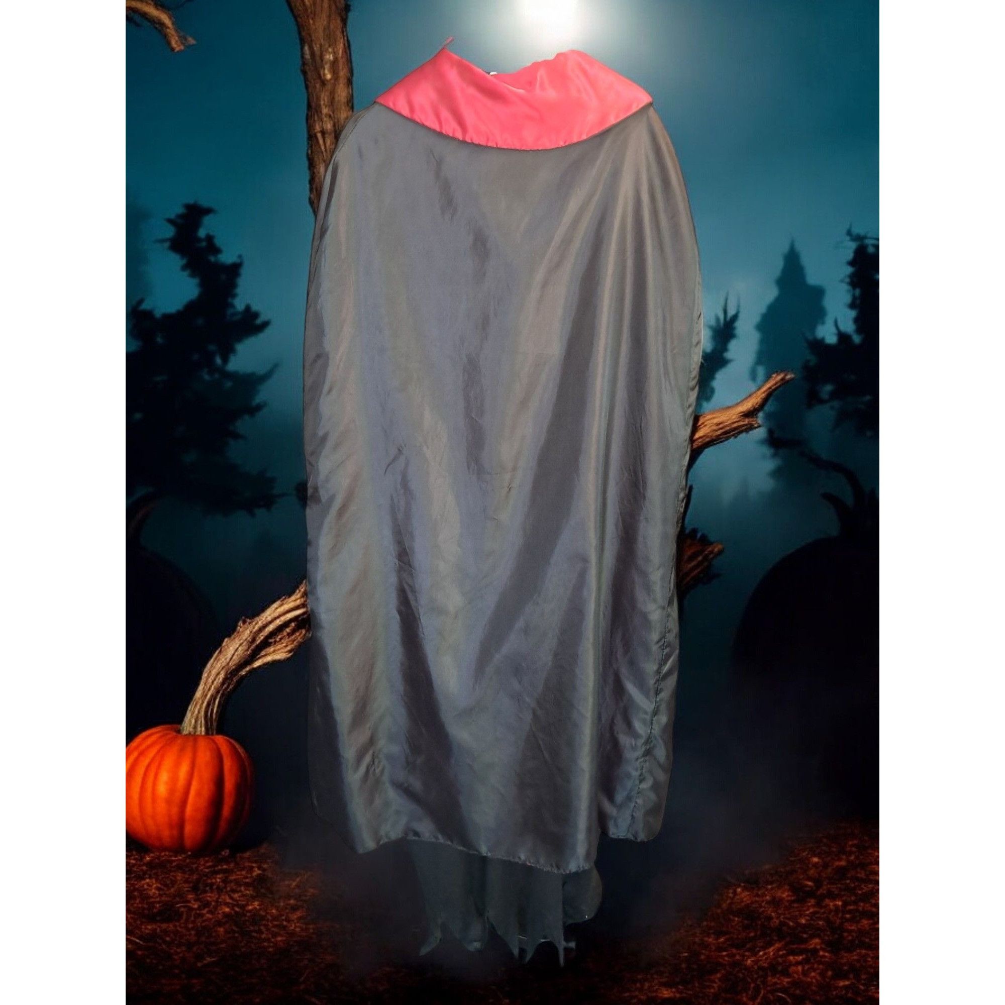 Other Adult Unisex Witch Dracula Halloween Costume Size Large Size US L / EU 52-54 / 3 - 2 Thumbnail