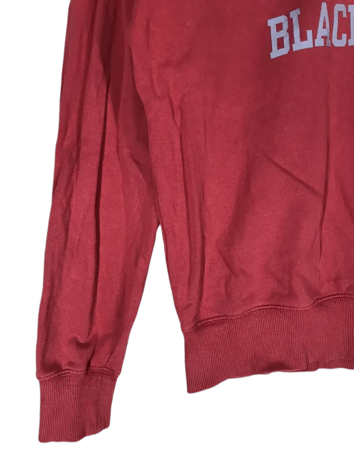 Champion Vintage Champion X Brookline Blackbirds Sweatshirts Size US L / EU 52-54 / 3 - 4 Thumbnail