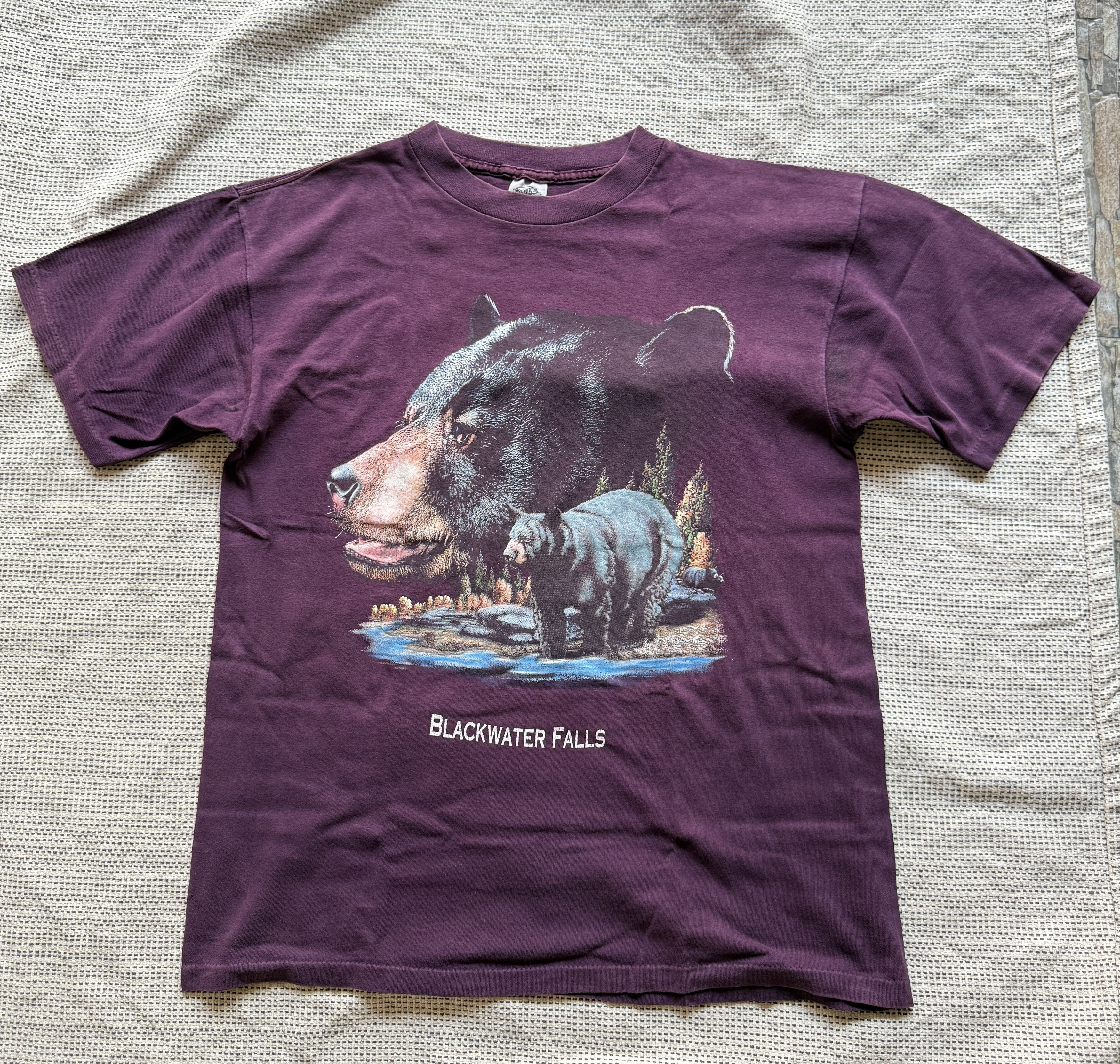 Vintage Vintage eagle products Blackwater falls t shirt Size US L / EU 52-54 / 3 - 1 Thumbnail
