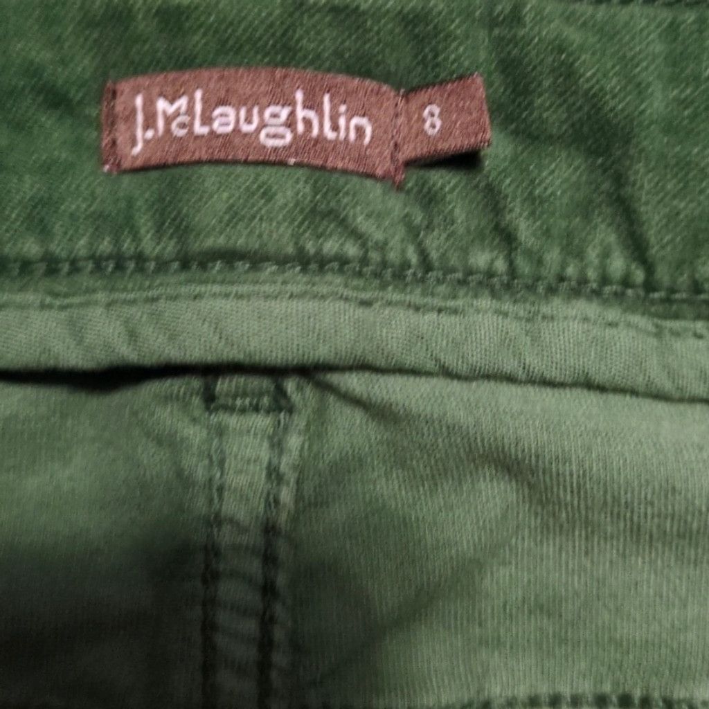 J.McLaughlin J. McLaughlin Green Velour Pants Size 8 Size 30" / US 8 / IT 44 - 5 Thumbnail
