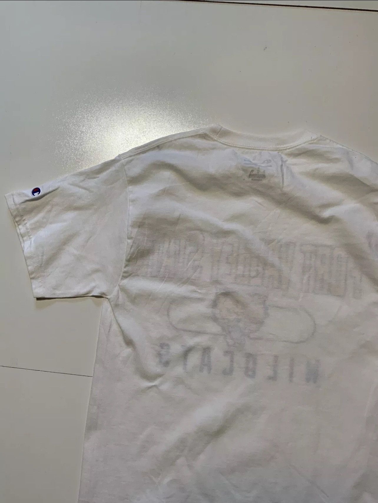 Champion Champion Fort Valley State University Wildcats HBCU T-Shirt Size US S / EU 44-46 / 1 - 4 Thumbnail