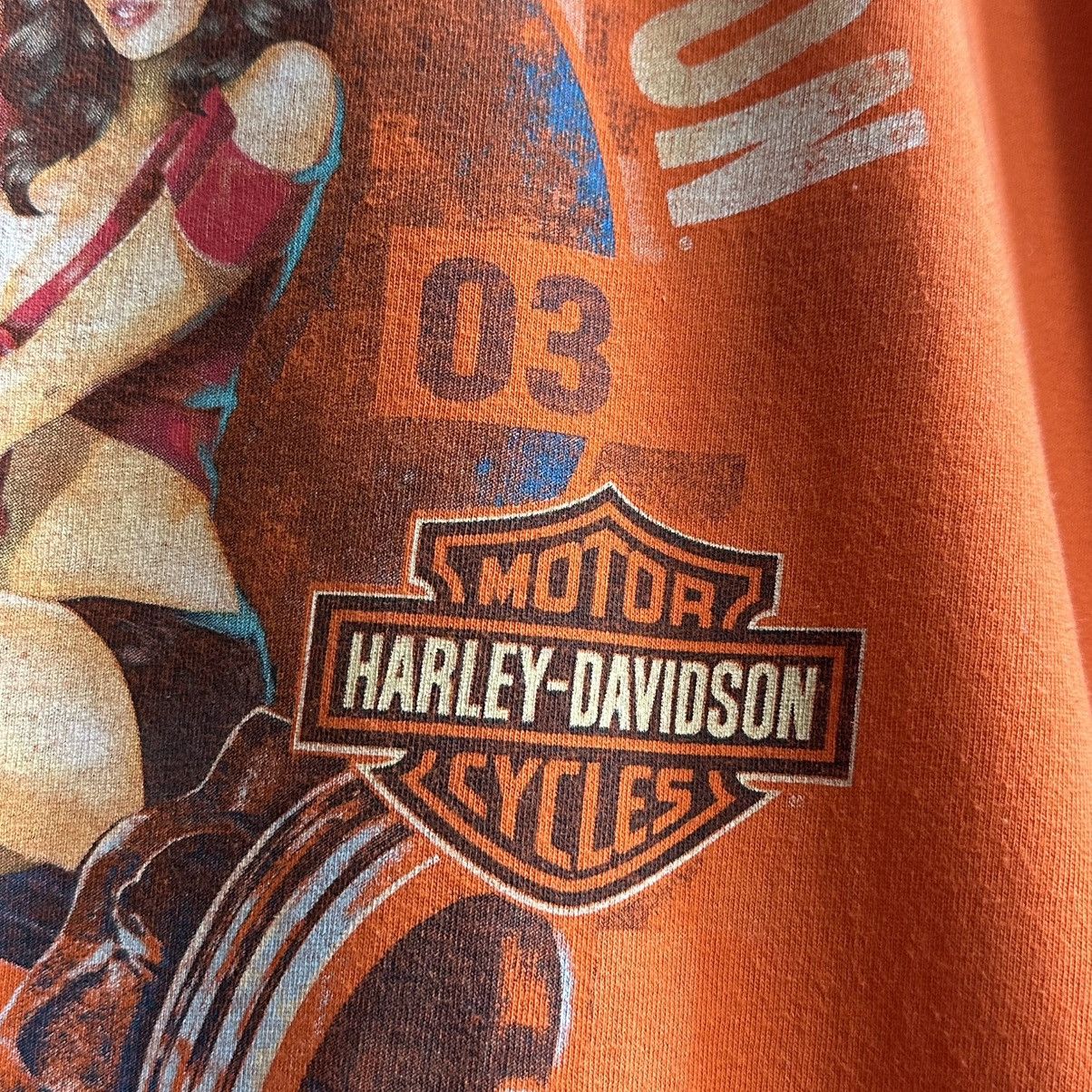Harley Davidson VINTAGE Y2K HARLEY DAVIDSON SAN JACINTO GRAPHIC TEE Size US L / EU 52-54 / 3 - 8 Thumbnail