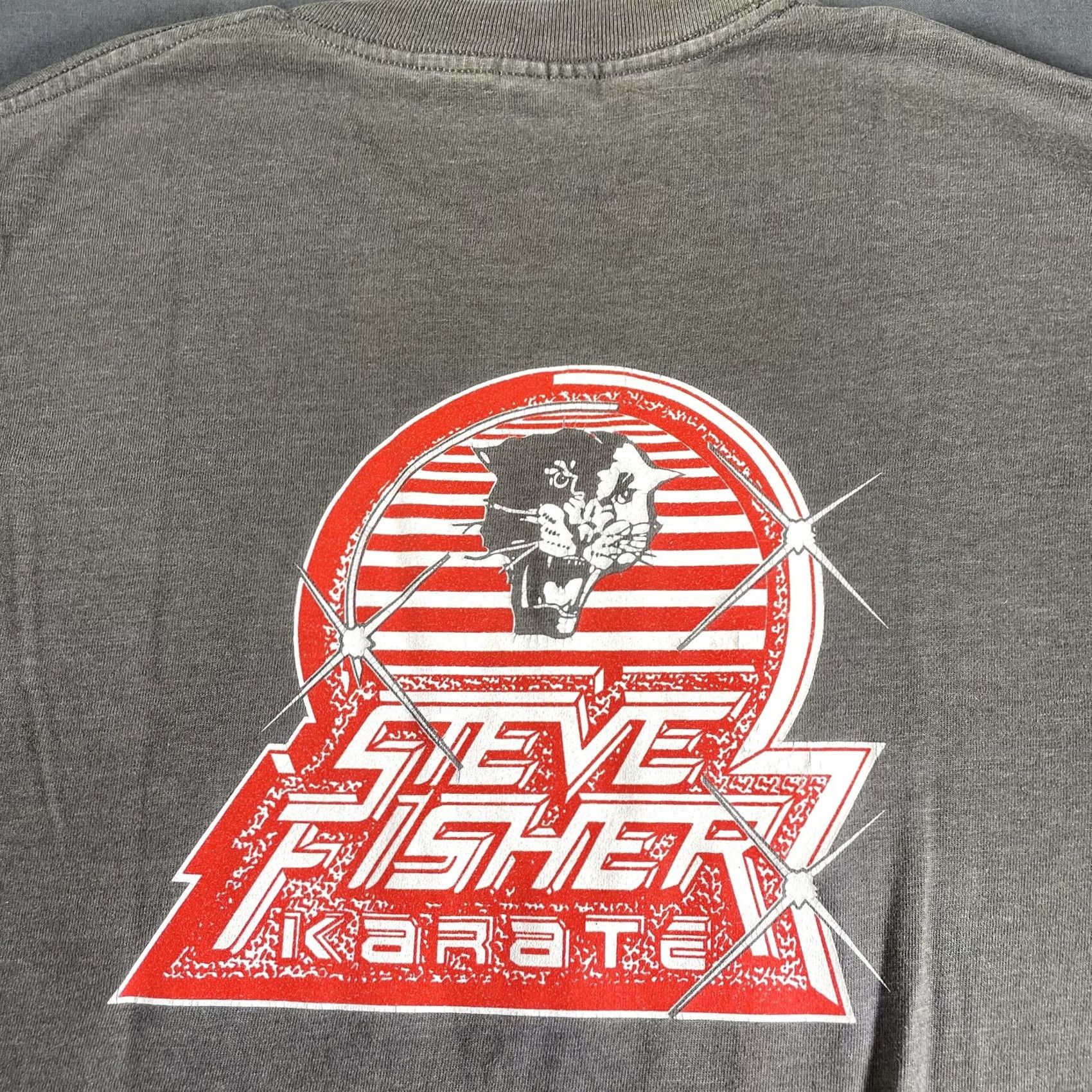 Vintage VINTAGE Steve Fisher Karate Shirt Mens L Gray Panther Tee 90s(?: Martial Arts, Graphic Print, Back Graphic) Size US L / EU 52-54 / 3 - 2 Thumbnail