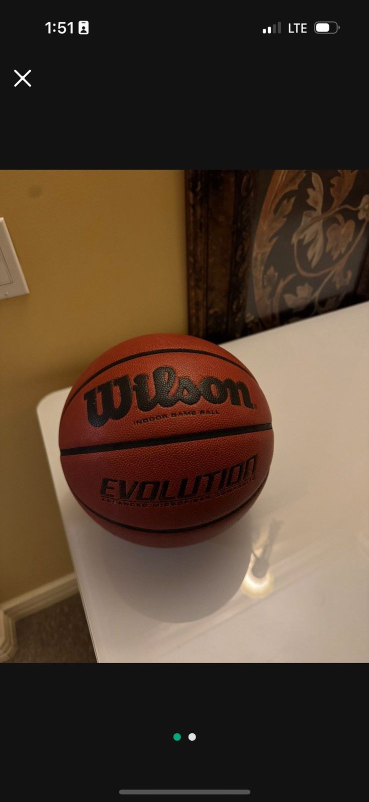Wilson Wilson Evolution Basketball Size ONE SIZE - 1 Thumbnail