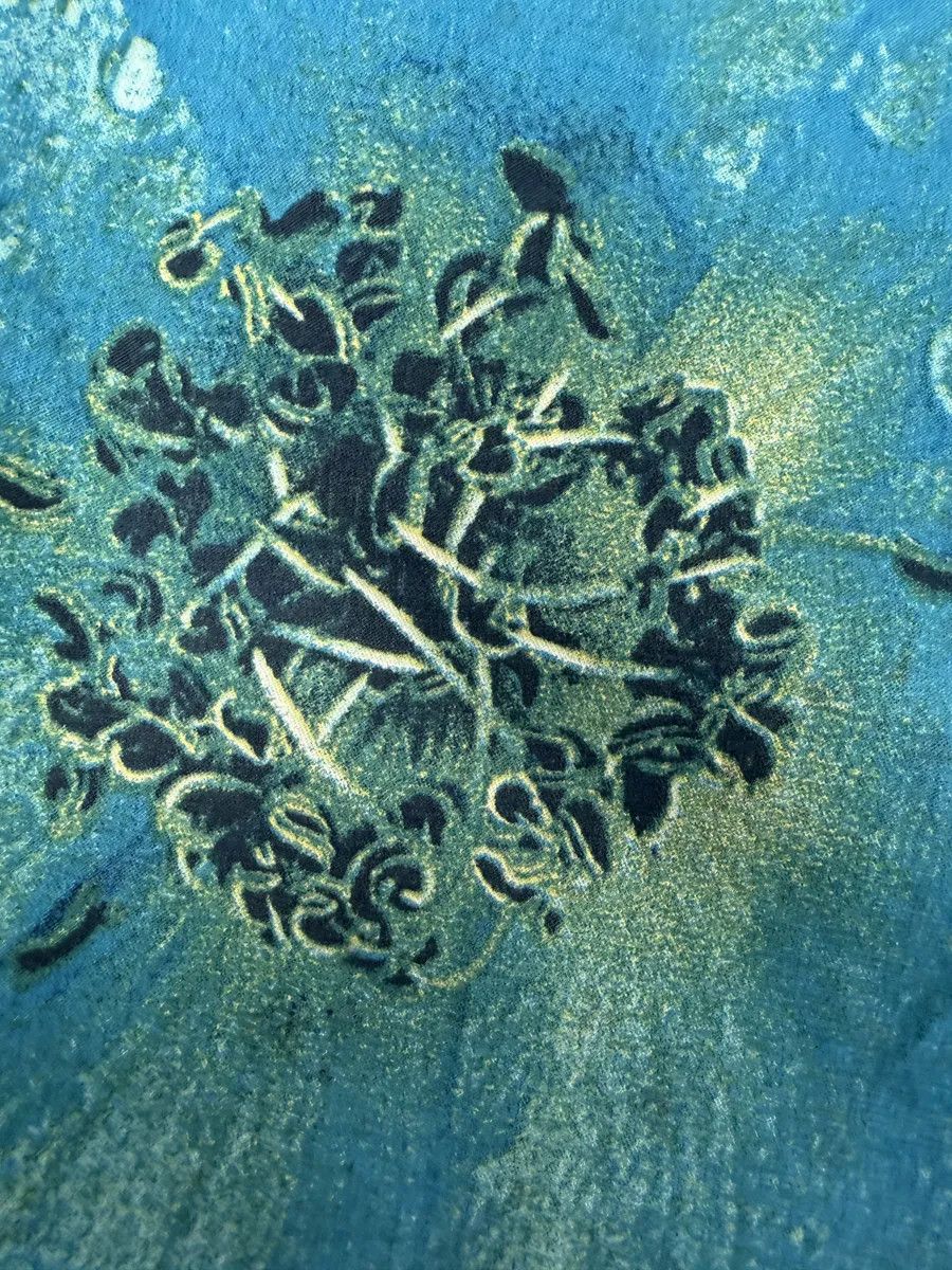 Roberto Cavalli 2000s Roberto Cavalli Blue Wet Leaves Print Pants Size 26" / US 2 / IT 38 - 11 Thumbnail