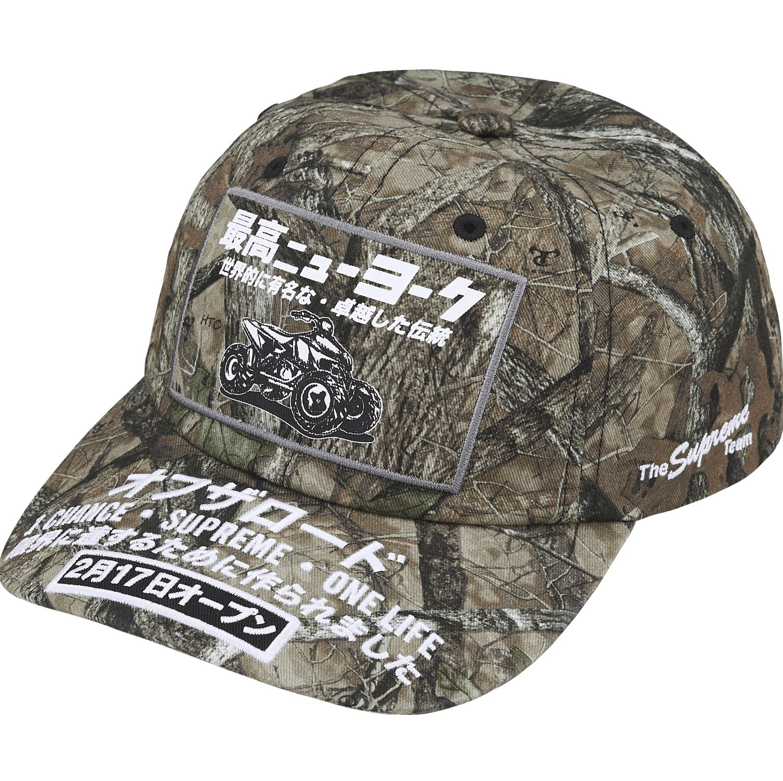 Supreme Supreme Felt Arc 6-Panel Hat FW24 Camo | Grailed