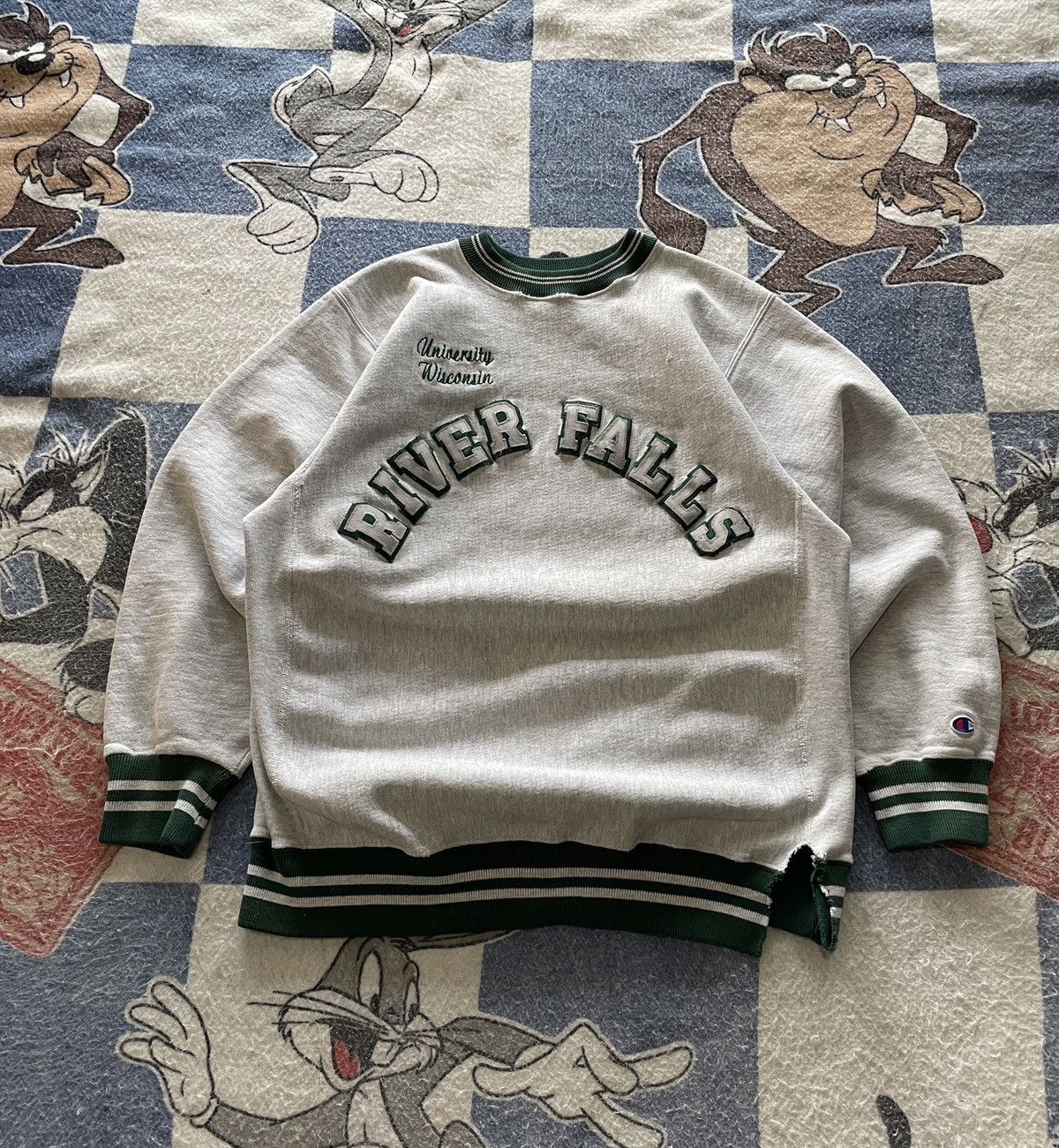 Vintage UWRF champion reverse weave crewneck