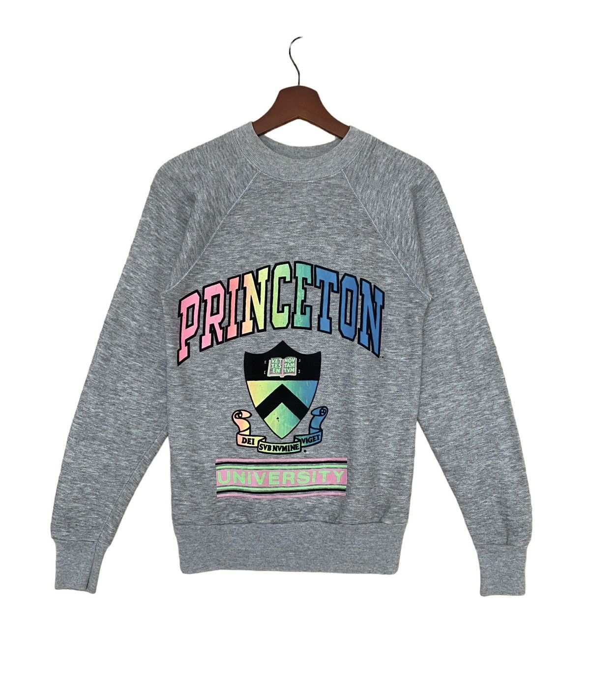 Vintage Princeton University Sweatshirt 1990s Sweatshirts Hoodies