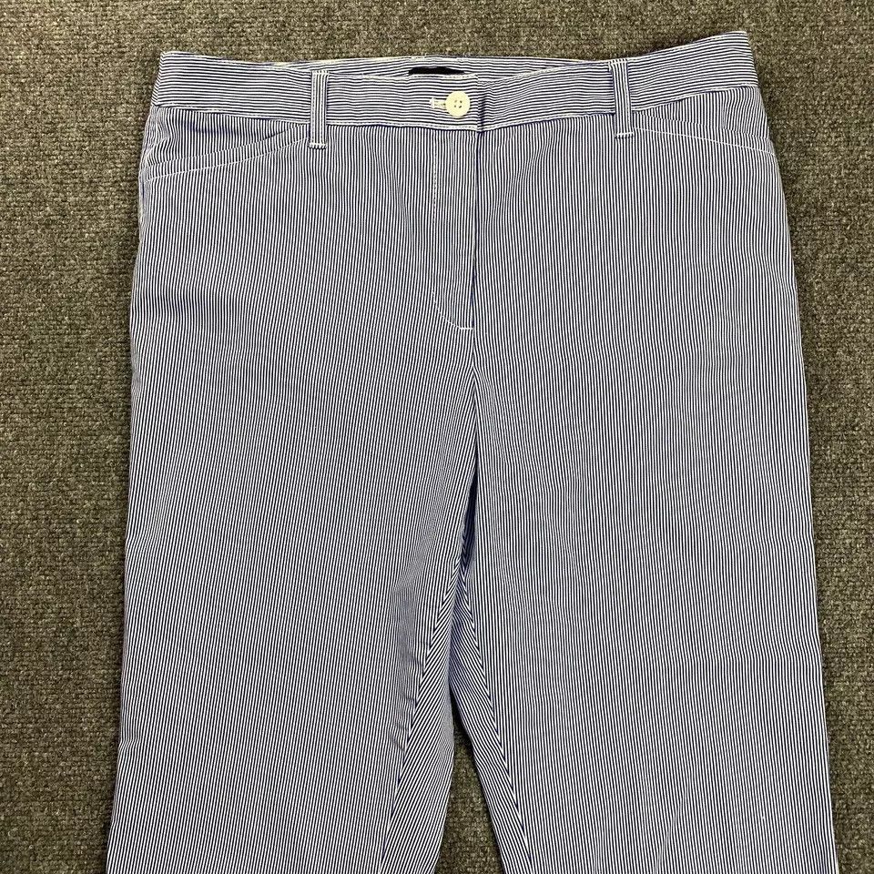 Talbots Talbots Pants Womens 12 Blue Striped Stretch Cotton Chino Size 34" / US 12 / IT 48 - 2 Thumbnail