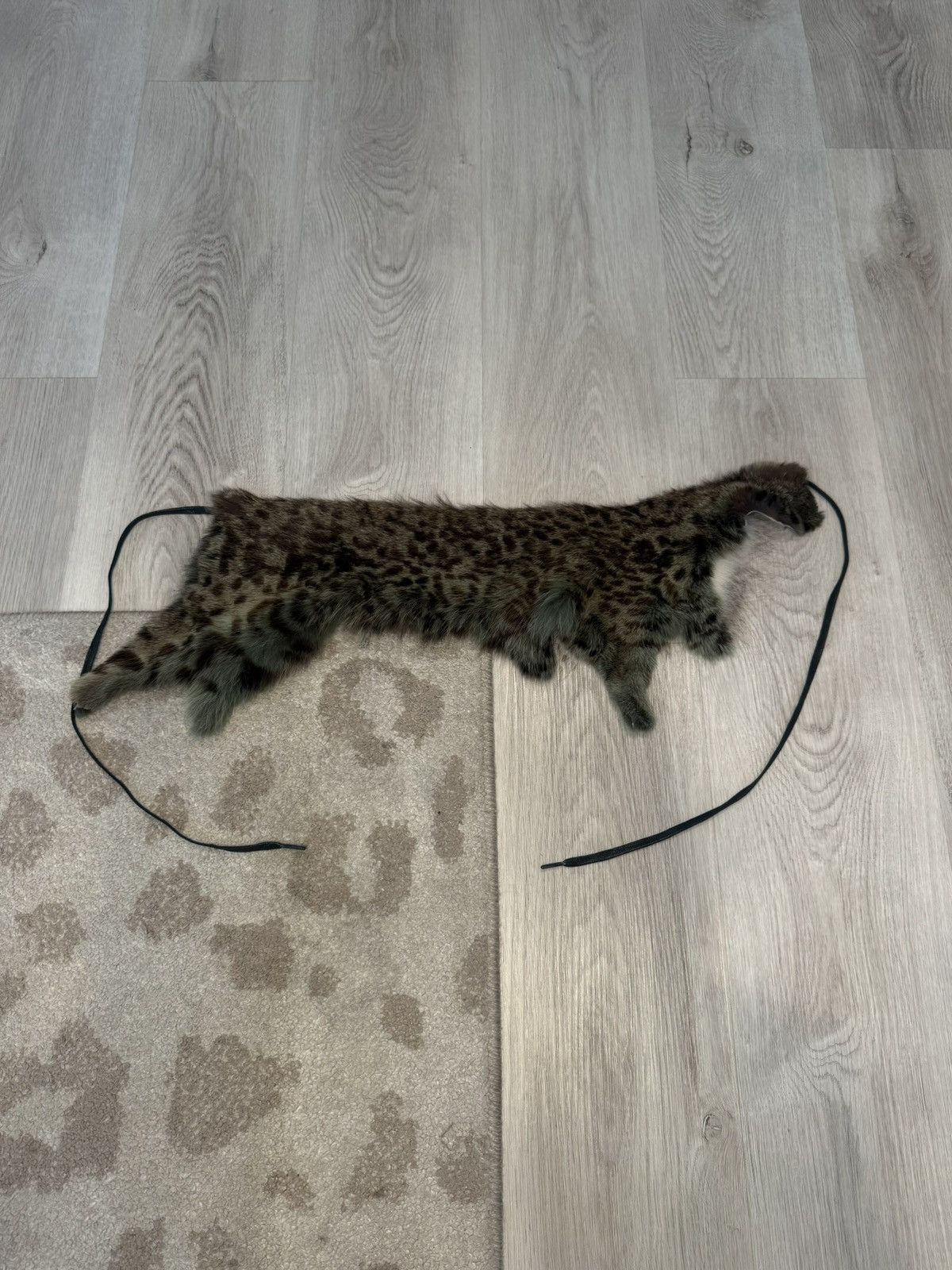 if six was nine mountain cat belt!!