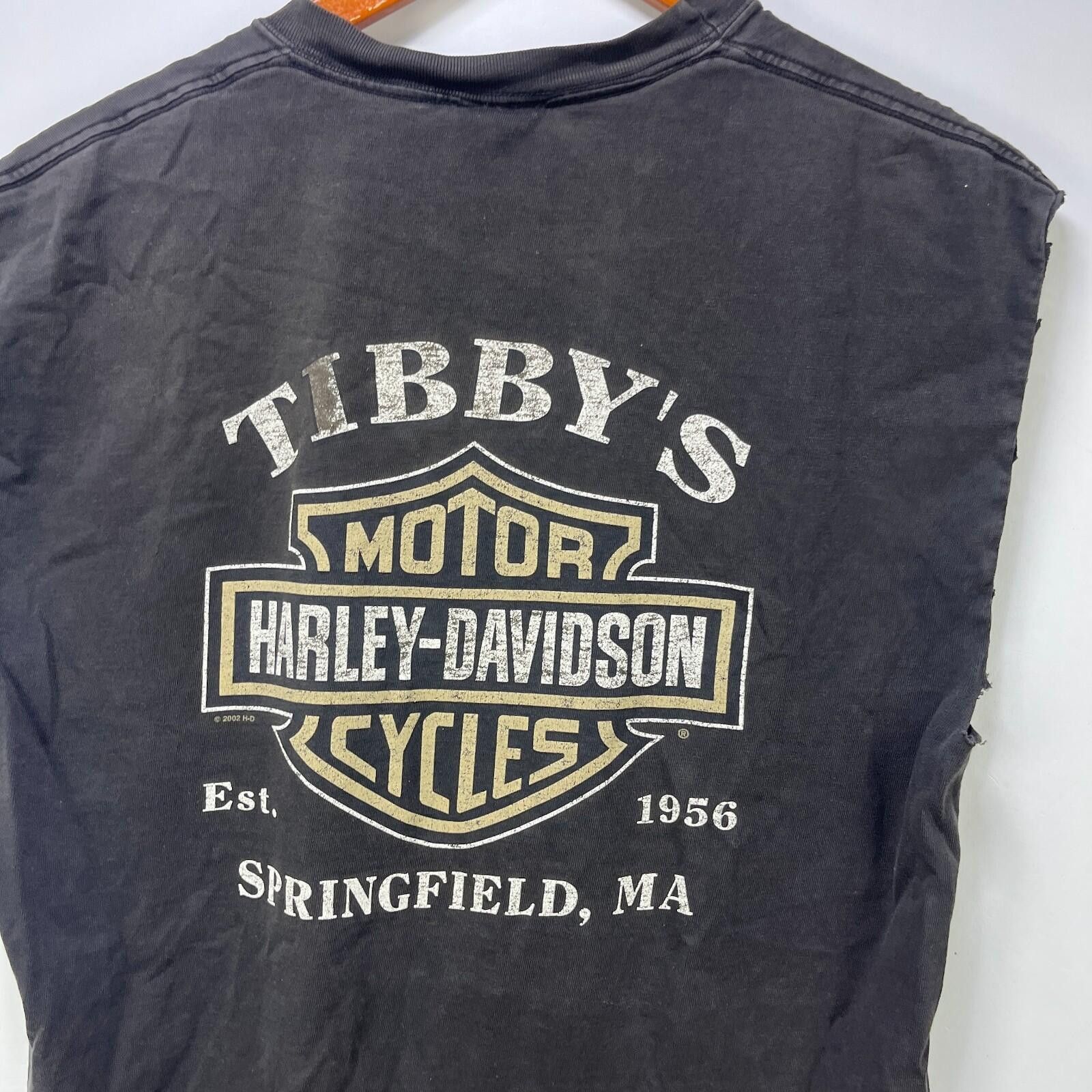 Harley Davidson Vintage Harley Davidson Faded Sleeveless Shirt Medium Size US M / EU 48-50 / 2 - 2 Thumbnail