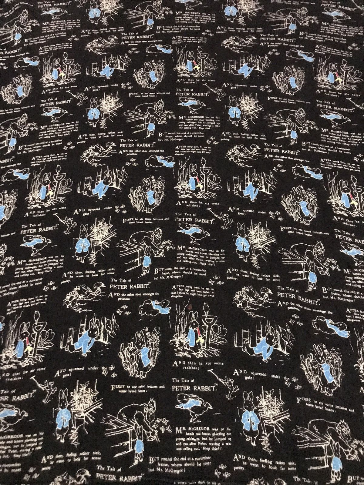 Uniqlo Peter Rabbit x Uniqlo Hoodies Size L Size US L / EU 52-54 / 3 - 3 Thumbnail