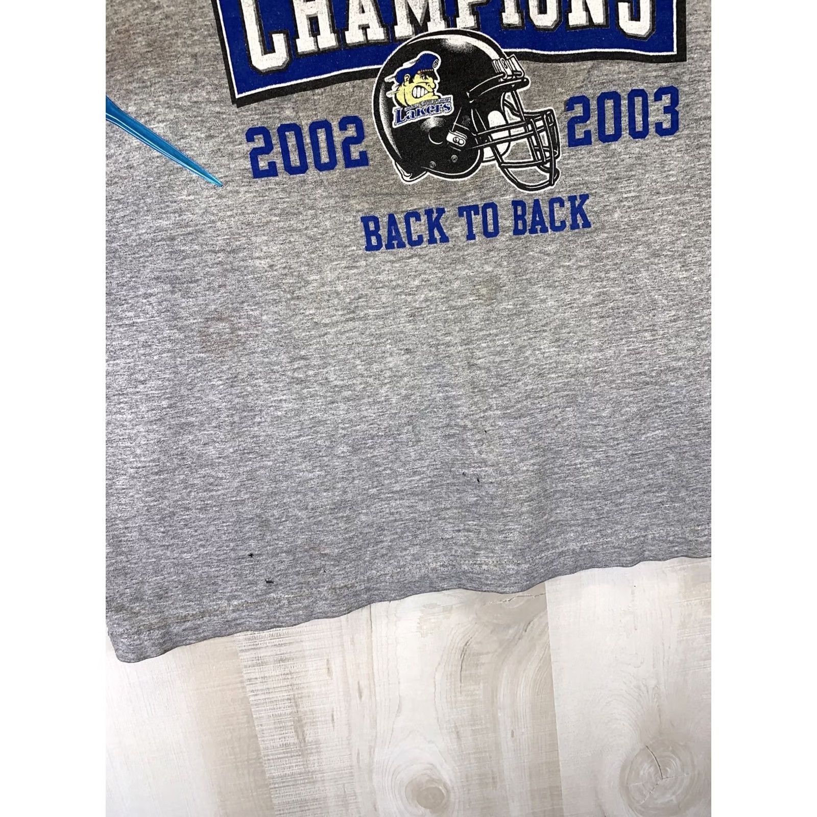 Vintage VINTAGE Gear For Sports T-Shirt Men Short Sleeve Crew Neck Gray 2003 Y2K Grand Valley State National Champions Cotton Blend Shirt Size US M / EU 48-50 / 2 - 5 Thumbnail