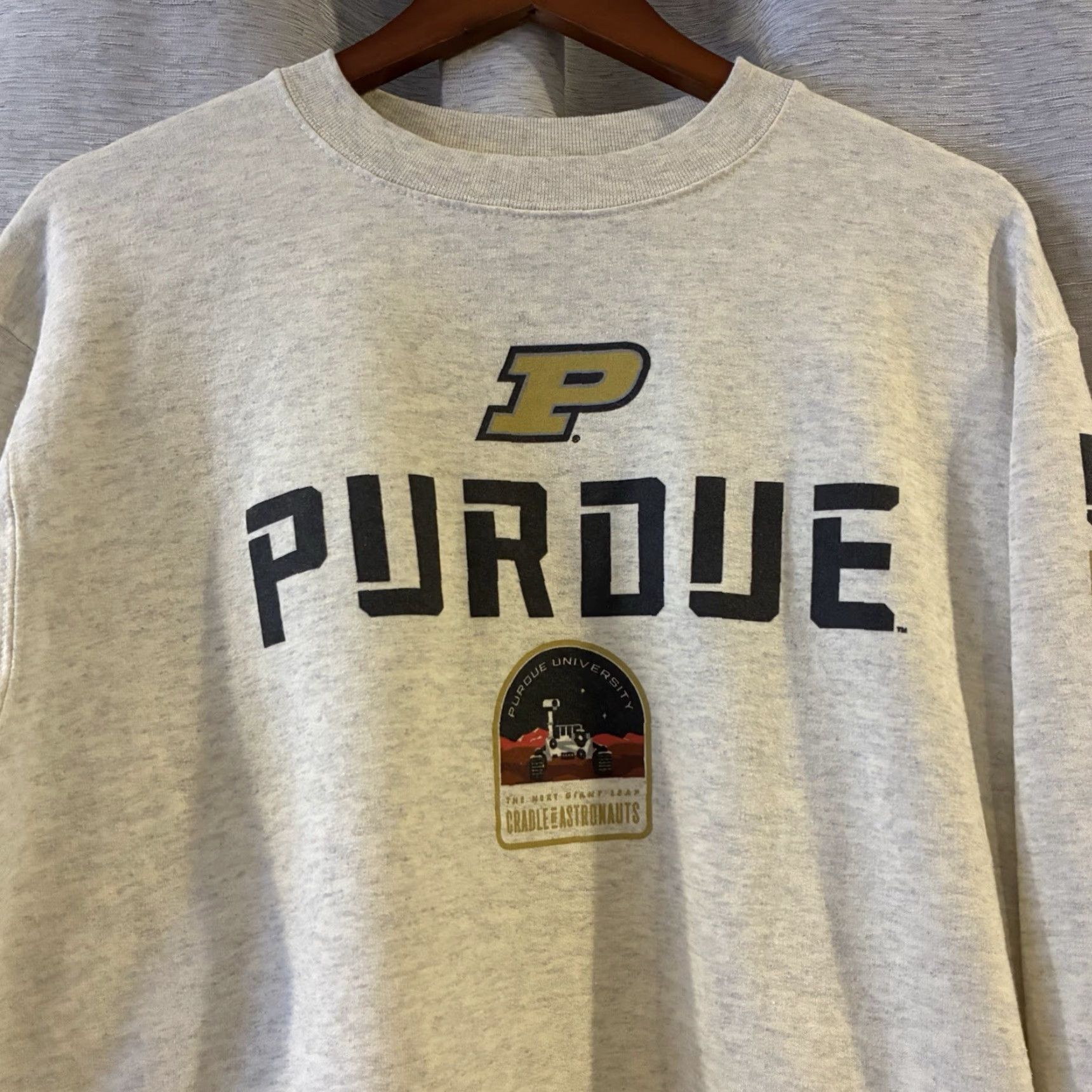 Champion VINTAGE Champion Purdue Cradle of Astronauts Space Patch Hoodie Men Size US M / EU 48-50 / 2 - 3 Thumbnail