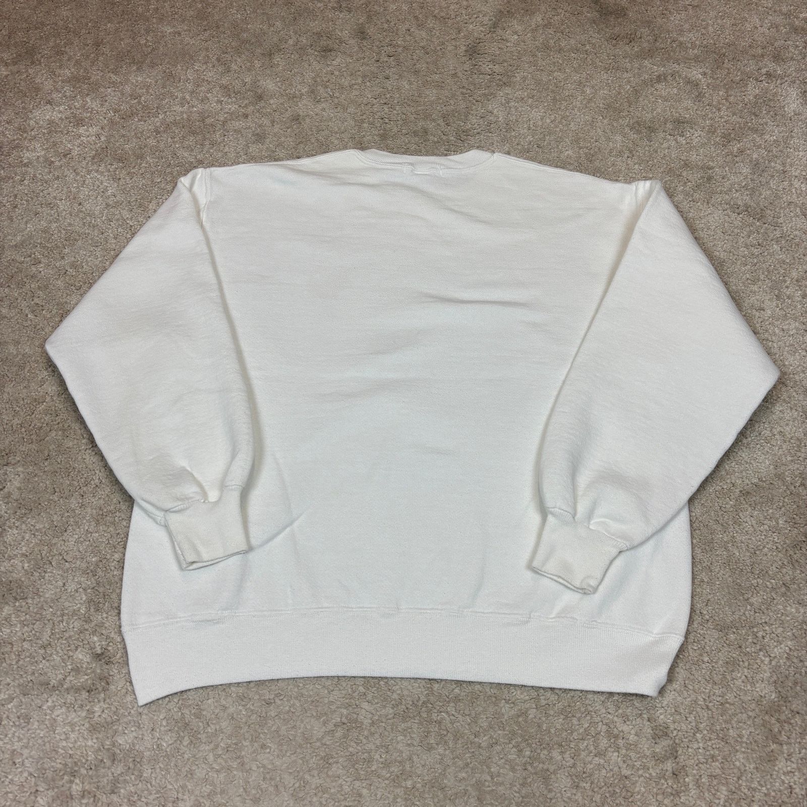Russell Athletic Vintage 90s Society Expeditions Project Antartica XL Size US XL / EU 56 / 4 - 3 Thumbnail