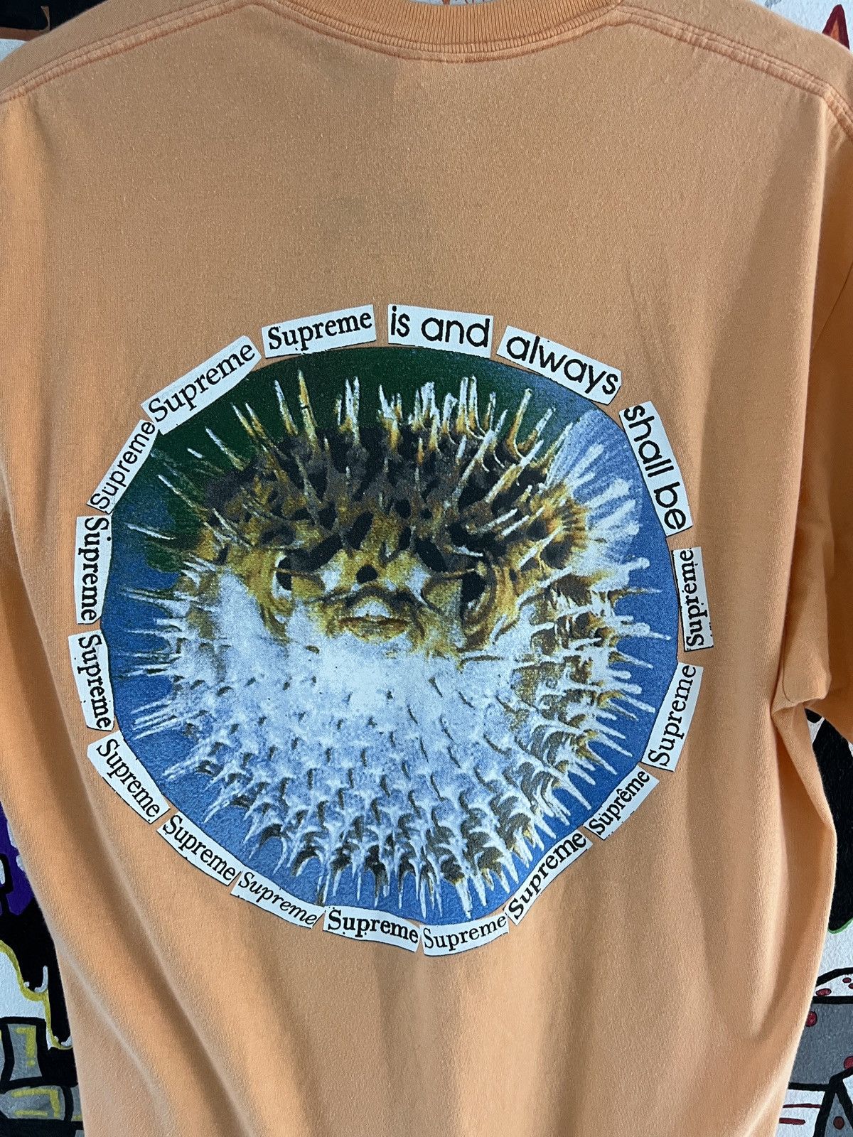 Supreme Supreme Blob Fish T-Shirt Size US L / EU 52-54 / 3 - 5 Thumbnail
