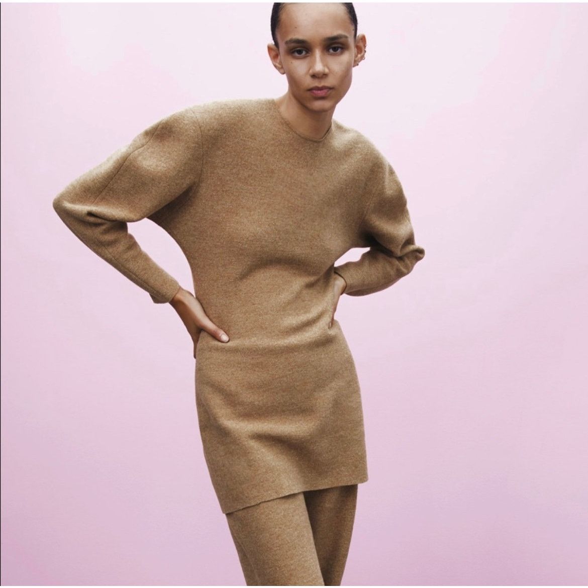 Zara ZARA BLOGGER FAVORITE 100% WOOL DRESS LIMITED EDITION Size XS / US 0-2 / IT 36-38 - 8 Thumbnail