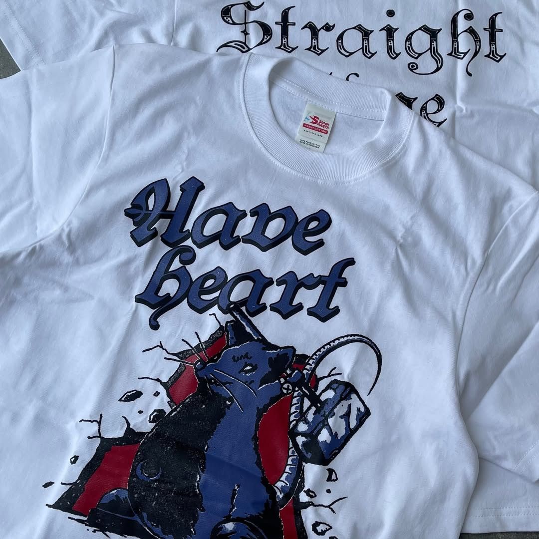 Band Tees HAVE HEART - Rat white hardcore band Tshirt tee Size US L / EU 52-54 / 3 - 3 Thumbnail
