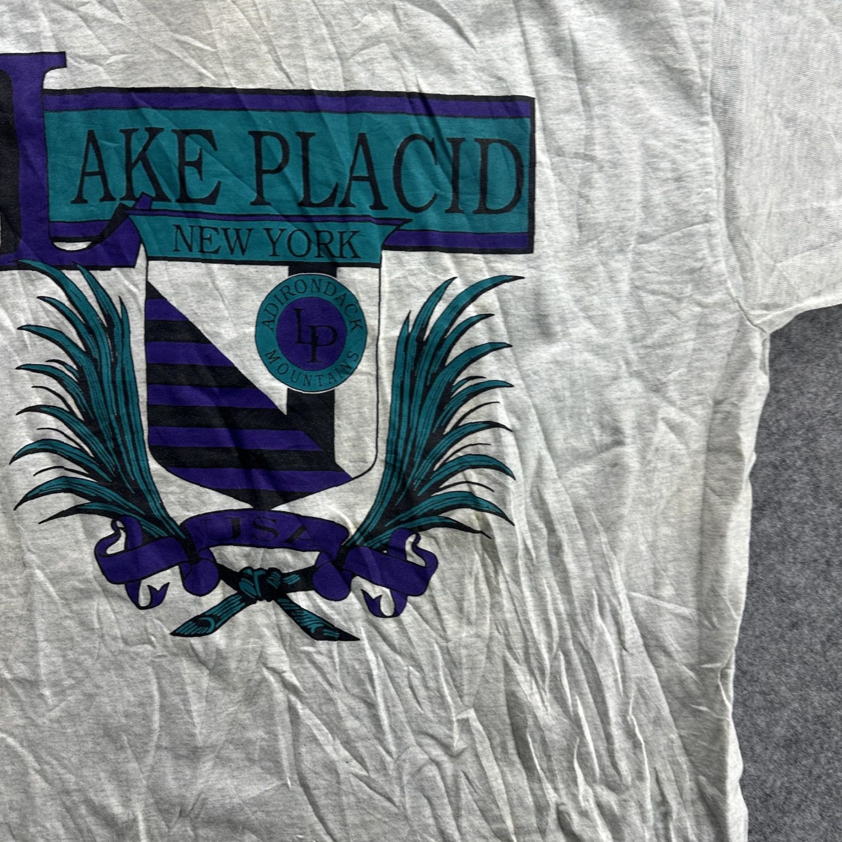 Fruit Of The Loom VINTAGE Lake Placid T-Shirt Men Large Gray Adirondack Mountains Crest 90s USA Travel Outdoor Cotton Size US L / EU 52-54 / 3 - 5 Thumbnail