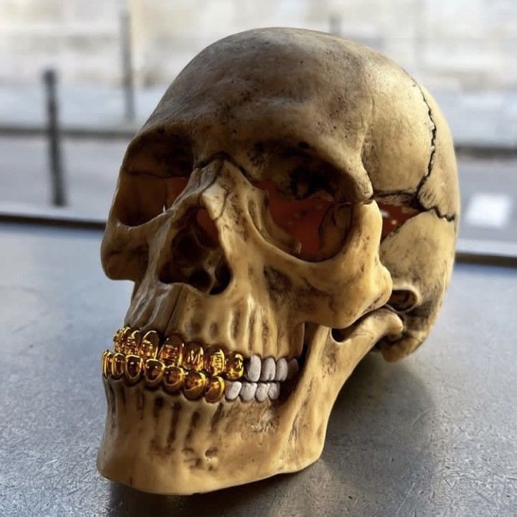 Supreme シュプリーム 4D 頭蓋骨模型 ナチュラル