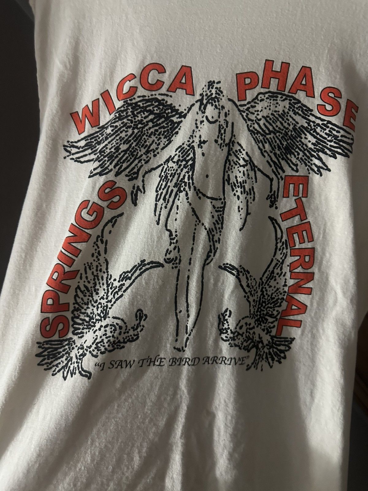 GOTHBOICLIQUE Wicca Phase Springs Eternal GBC I saw the bird arrive Tee Size US M / EU 48-50 / 2 - 2 Thumbnail