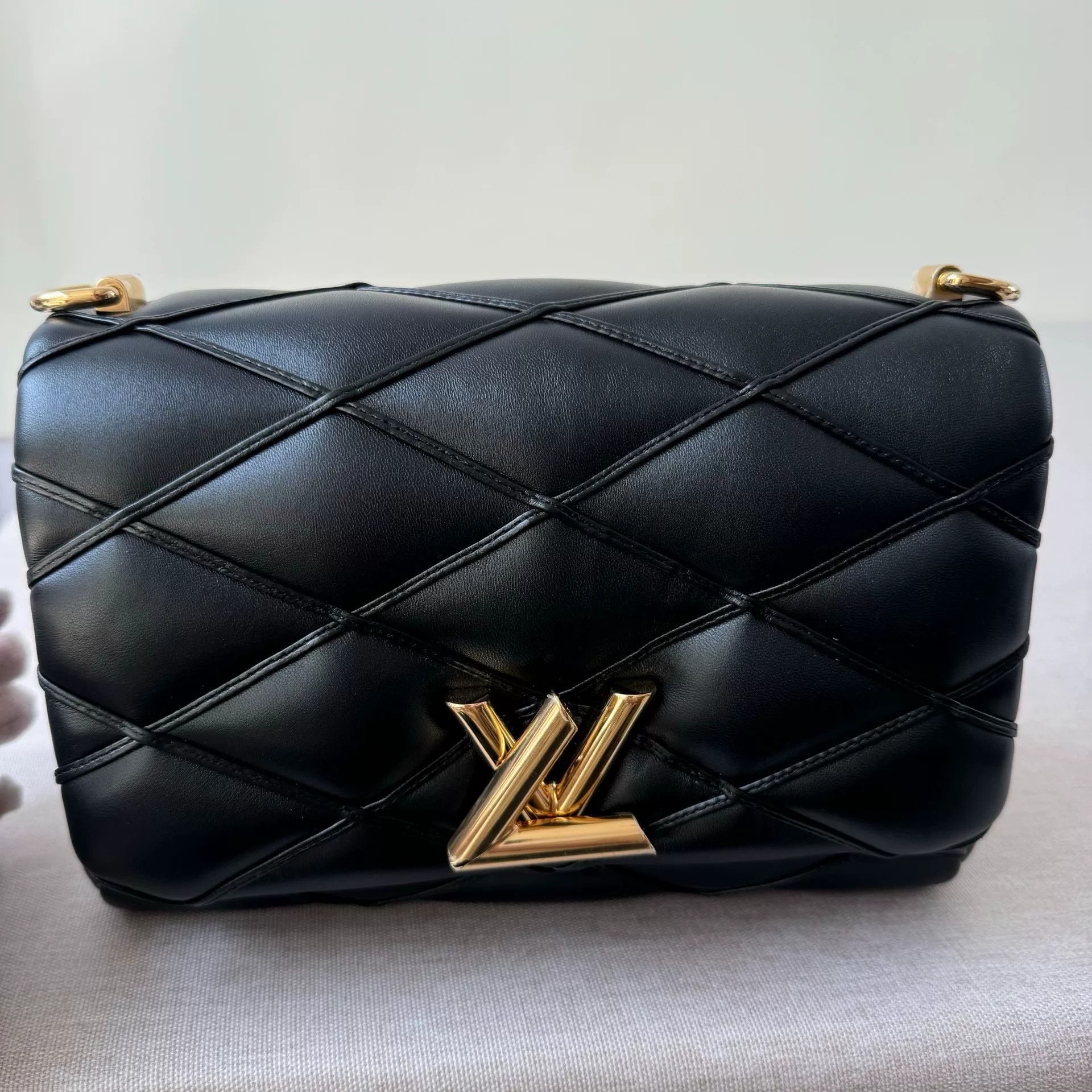 Louis Vuitton Pre-loved Bag Brand new condition Size ONE SIZE - 1 Thumbnail