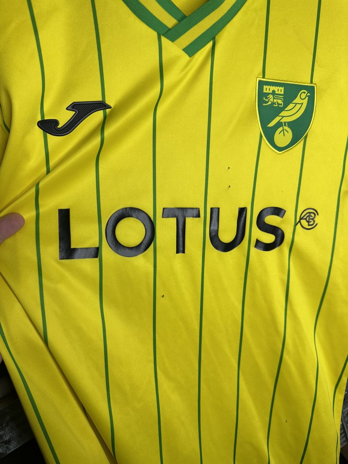 Jerzees Joma Norwich City Home football shirt 2022 - 2023 Size US L / EU 52-54 / 3 - 6 Thumbnail