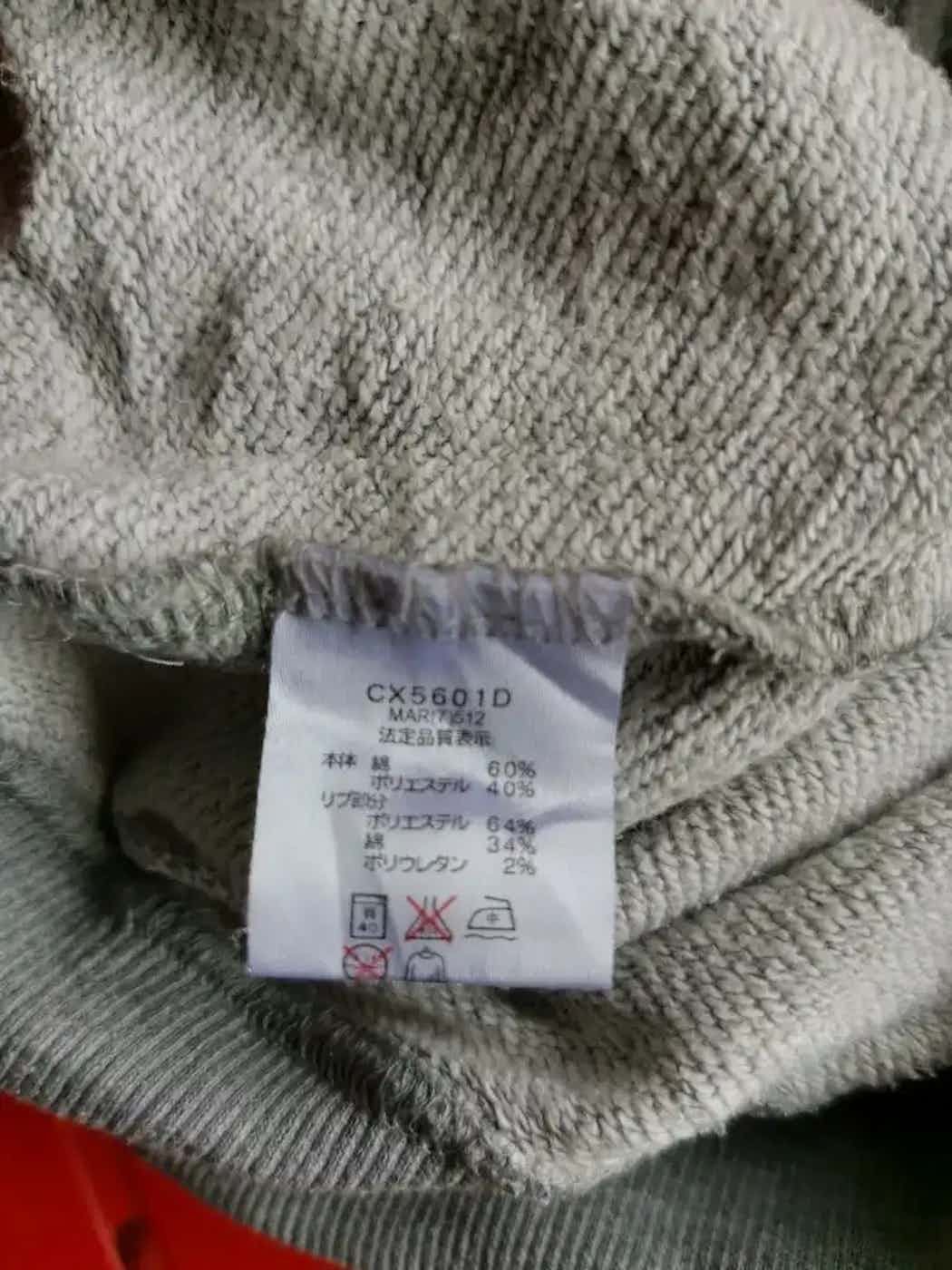 Champion Vintage Champion 1919 Rochester NY Sweatshirt Size US M / EU 48-50 / 2 - 5 Thumbnail