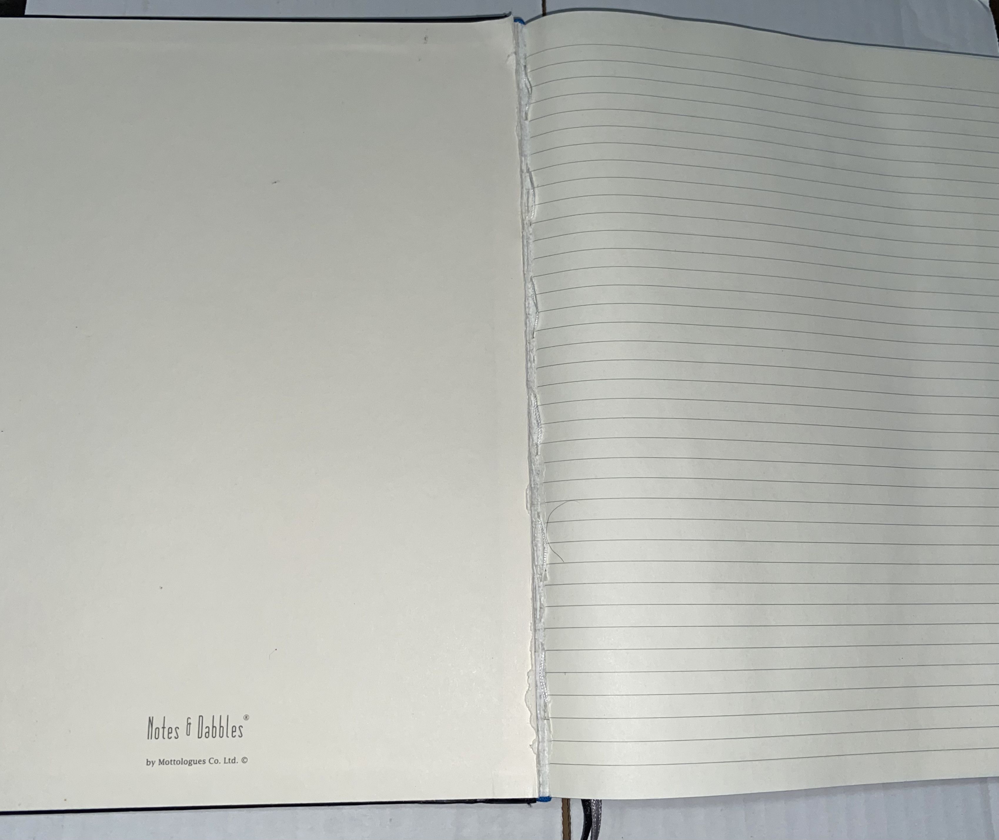 Journal Standard × NCAA Syracuse University Notes & Dabbles Brand 160 page JOURNAL ! Size ONE SIZE - 5 Thumbnail