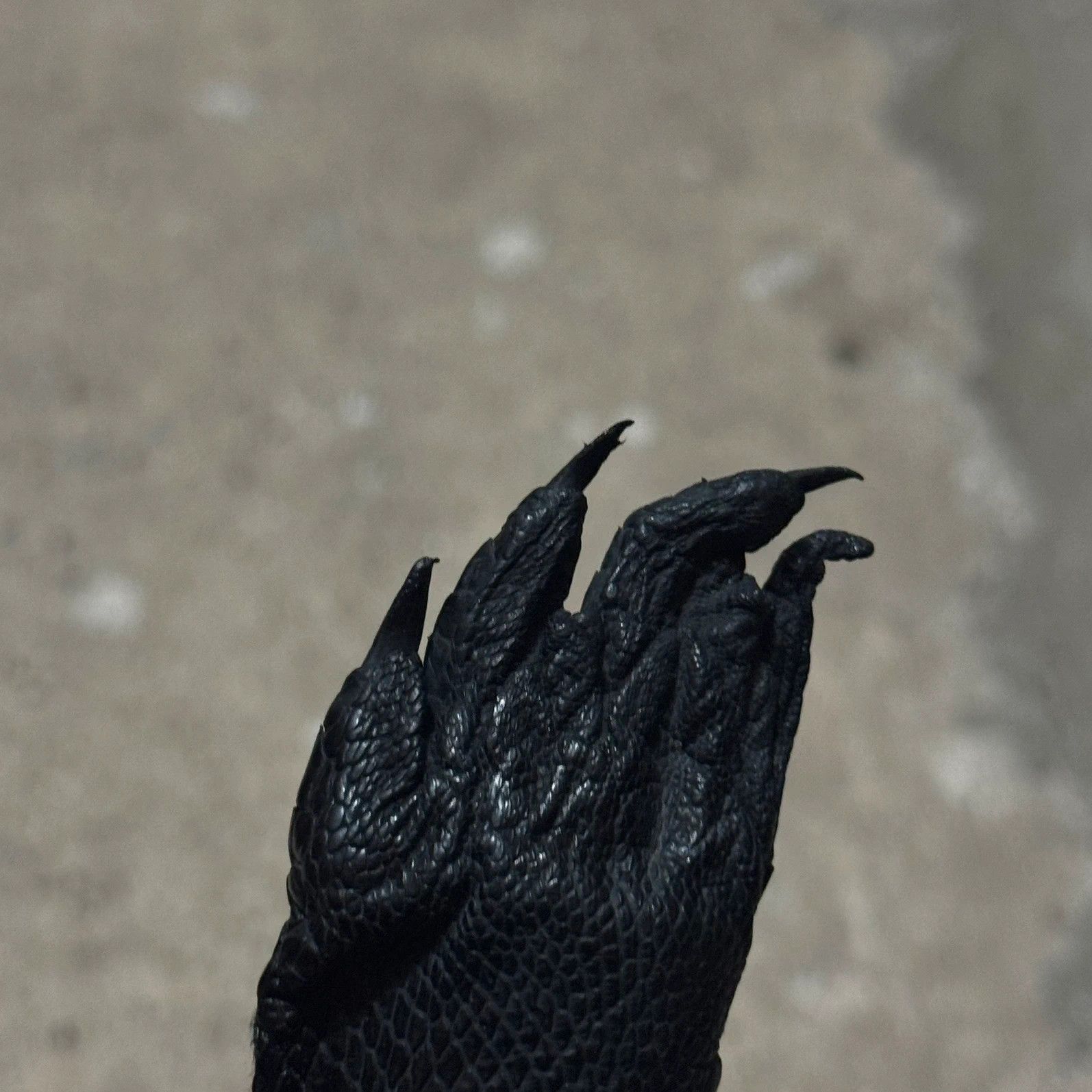 Other Real Crocodile paw leather lighter-case Size ONE SIZE - 7 Thumbnail