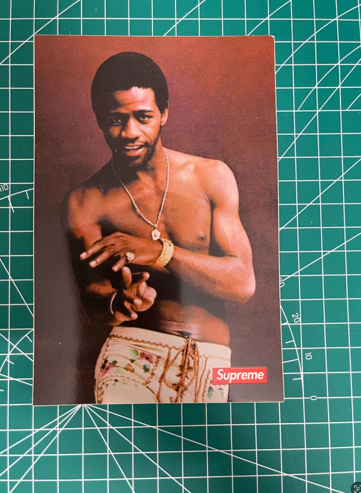 Supreme Supreme Al Green Sticker Size ONE SIZE - 1 Preview