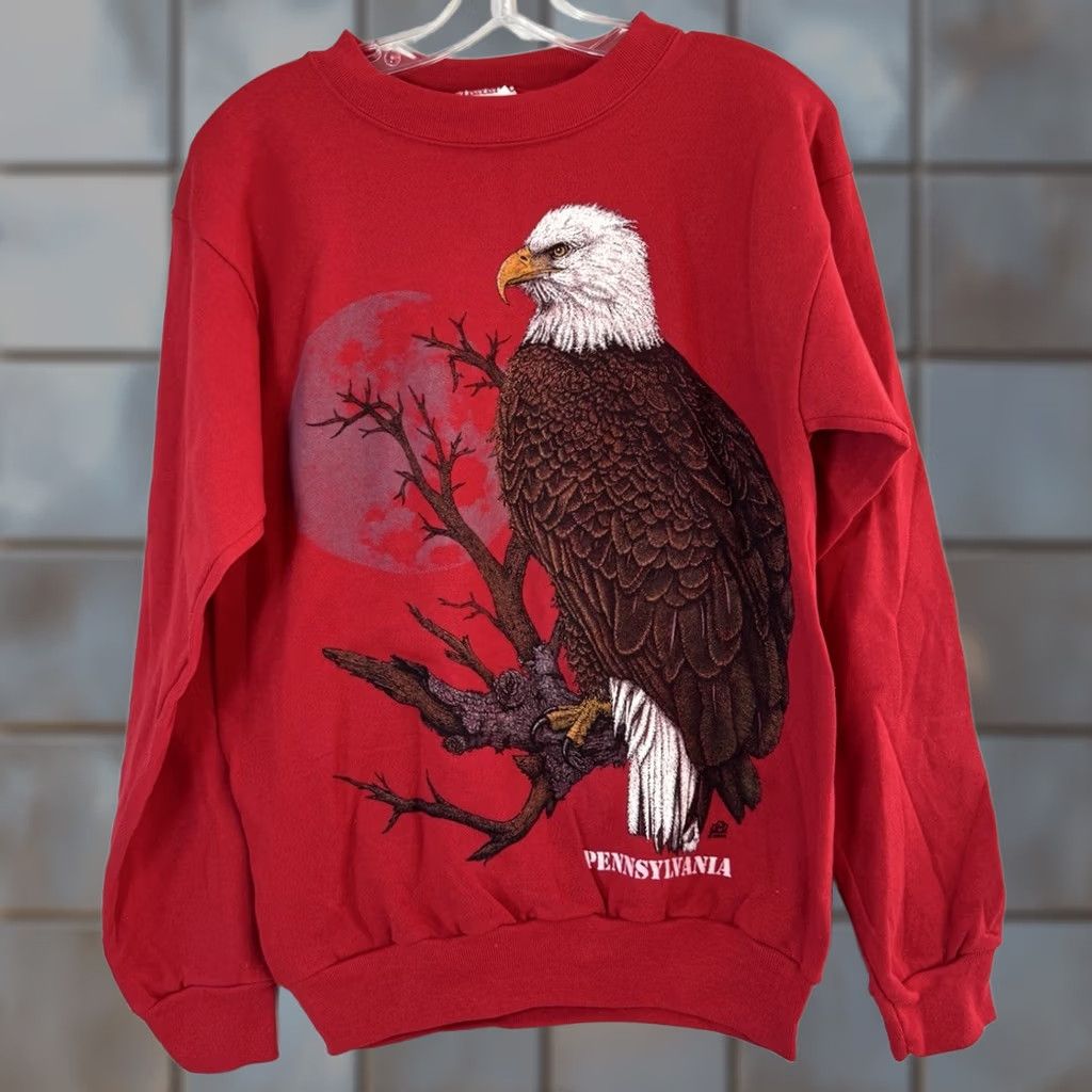Tultex VINTAGE Tultex Eagle Nature Sweatshirt Mens Medium Pennsylvania 90s Made In USA Red Size US M / EU 48-50 / 2 - 1 Thumbnail