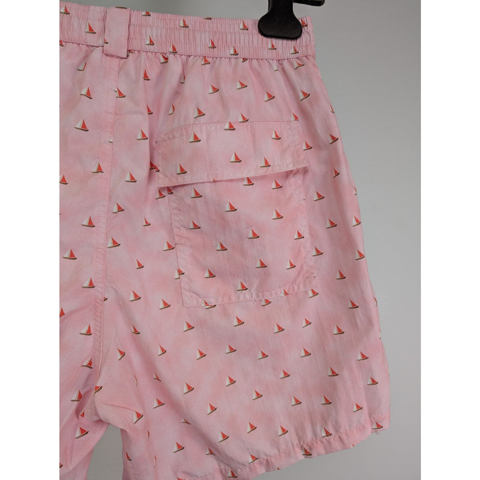 Loro Piana o1rshd1 Bay DTL Toy Print Rain Short in Pink Size US 34 / EU 50 - 9 Thumbnail