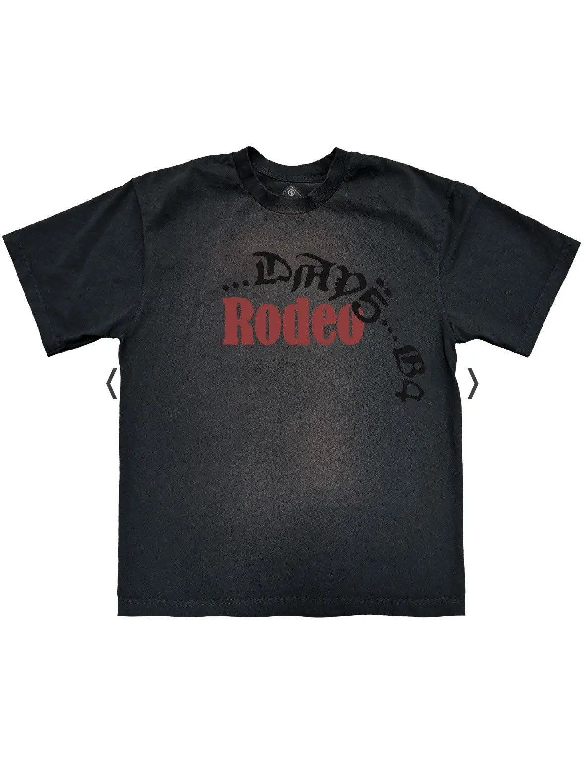 Cactus Jack × Sp5der Airbrush Tシャツ Black○関送無料○ Spider × Travis Scott Cactus Jack by Travis Scottx Sp5der