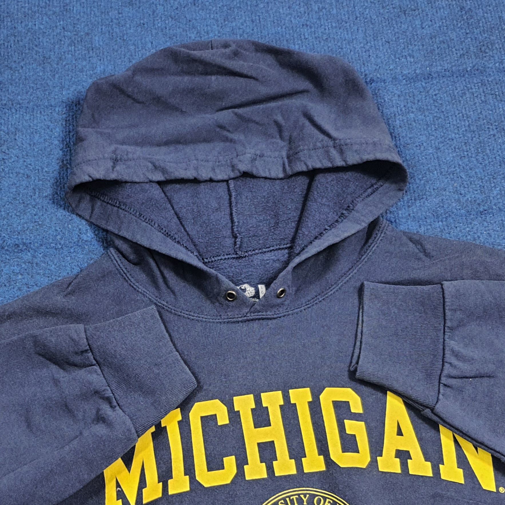 Vintage Vintage University of Michigan Hoodie C284N16 Size US L / EU 52-54 / 3 - 4 Thumbnail