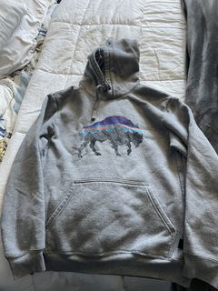 Patagonia sale bison hoodie