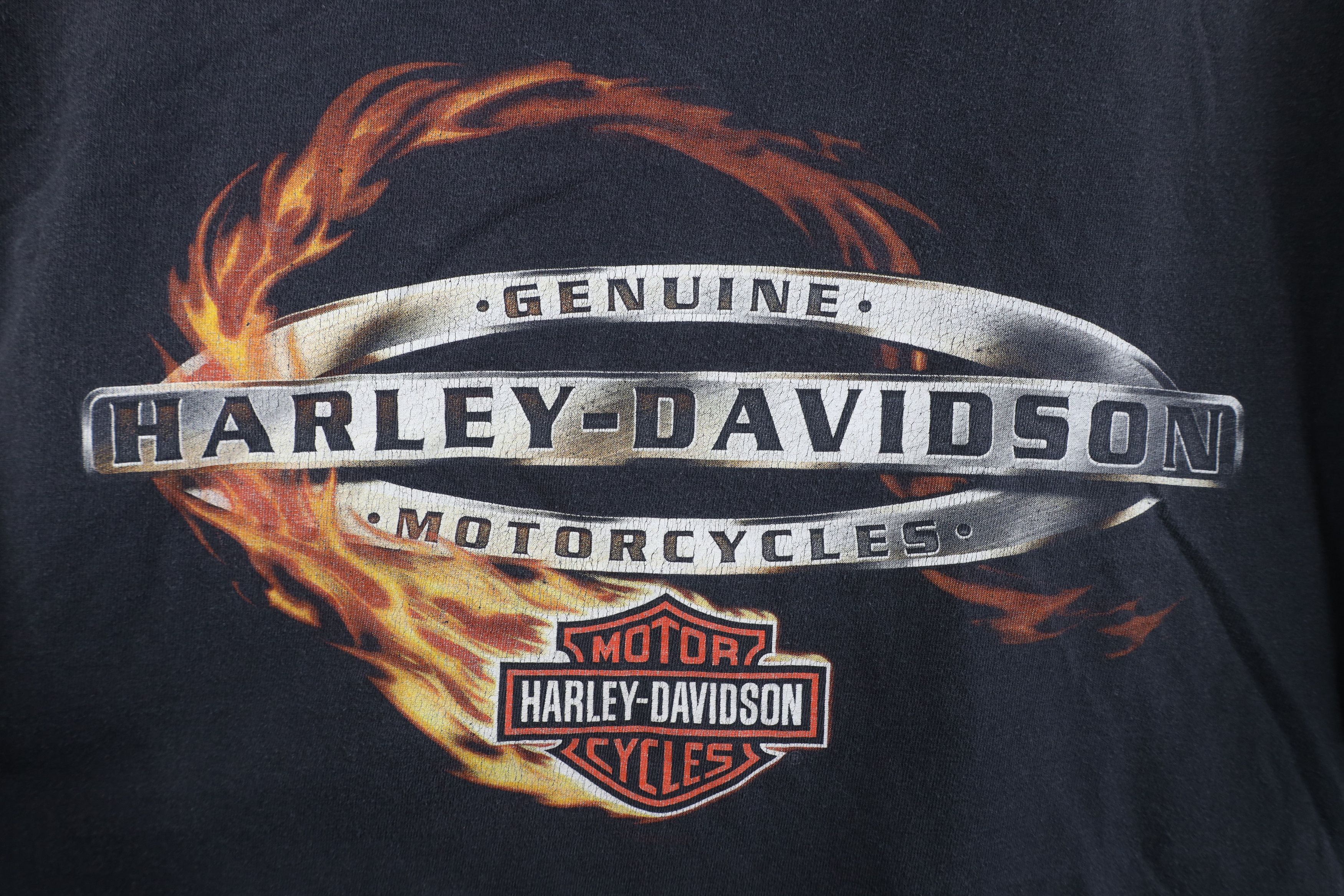 Harley Davidson Vintage Y2K Harley Davidson Fire Flames T-Shirt Cotton USA Size US L / EU 52-54 / 3 - 4 Thumbnail