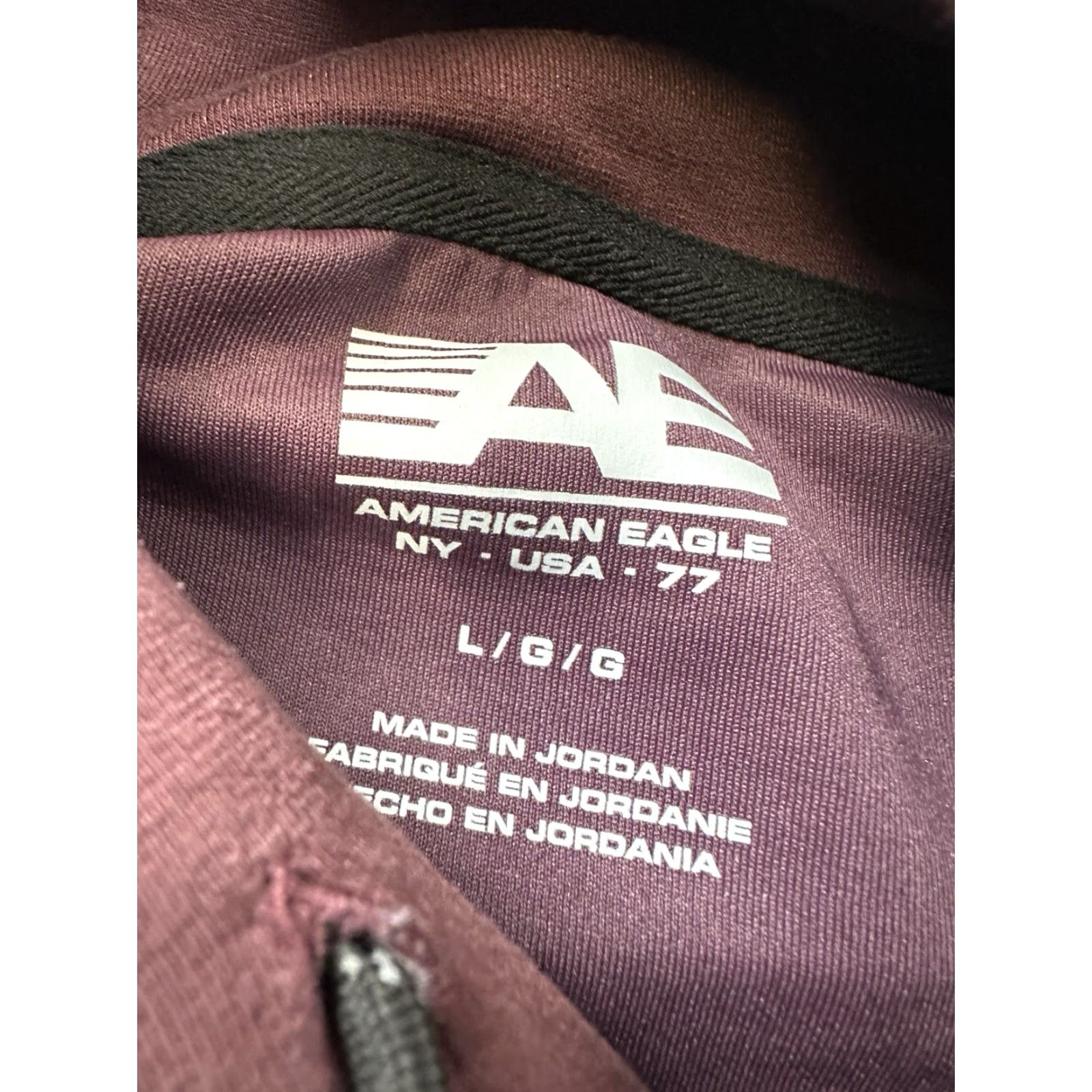 American Eagle Outfitters American Eagle Hoodie Mens Large Red Burgundy Fleece Pullover Sweatshirt Size US L / EU 52-54 / 3 - 4 Thumbnail