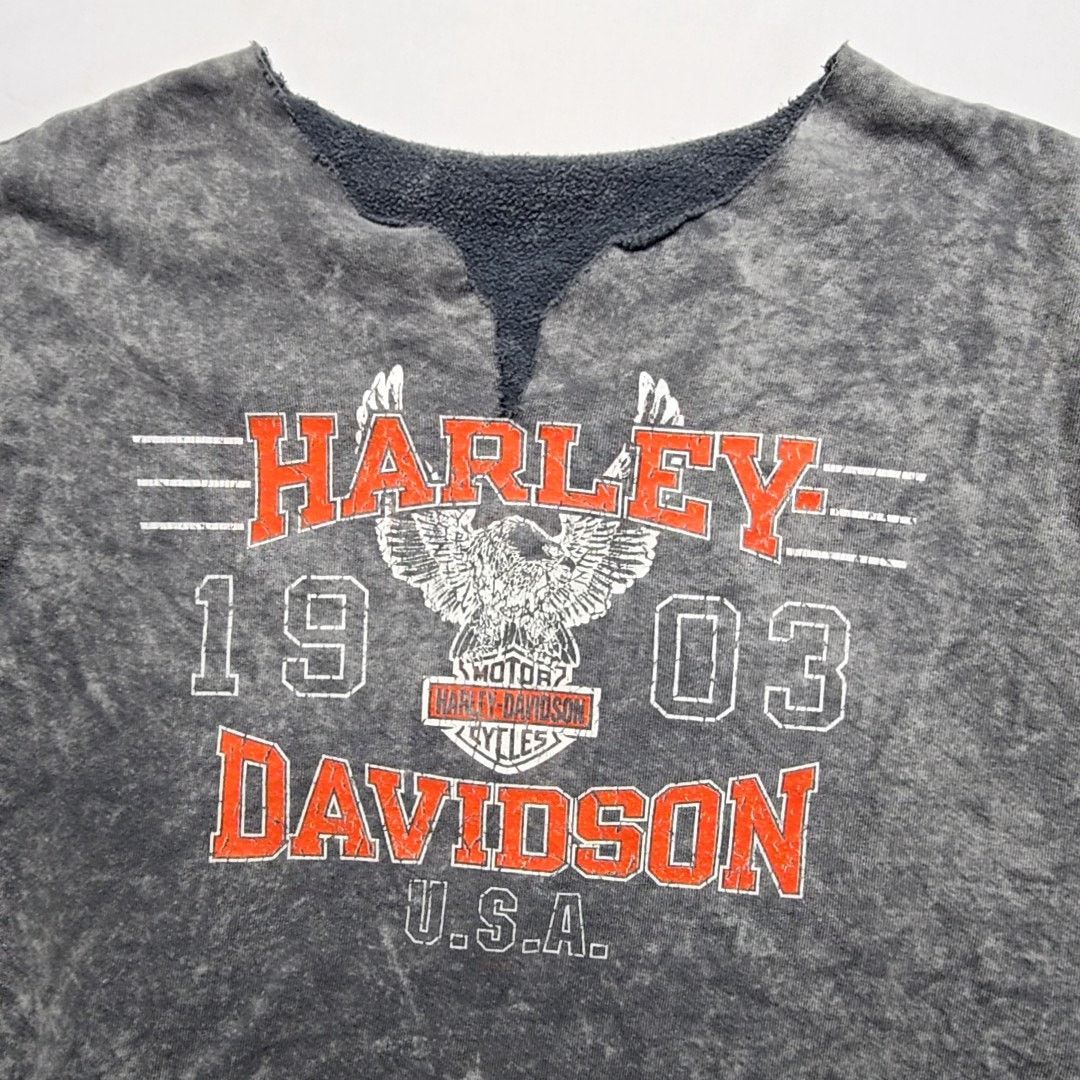 Harley Davidson Harley Davidson Sweatshirt Acid Wash Graphic Gray XL Size US XL / EU 56 / 4 - 2 Thumbnail