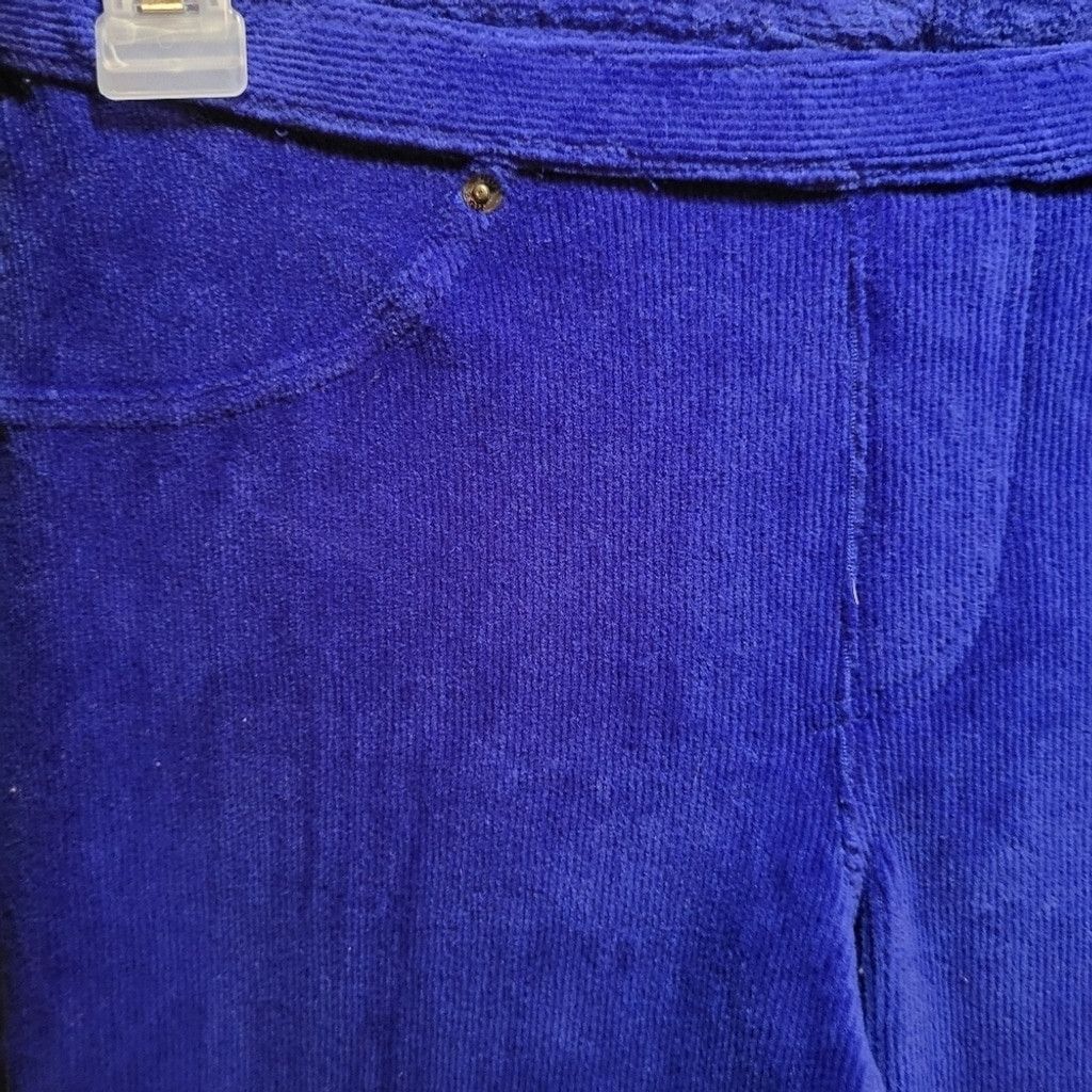 Huf Hue, pants, very soft corduroy, rich blue, nwot Size S Size 27" / US 4 / IT 40 - 2 Thumbnail