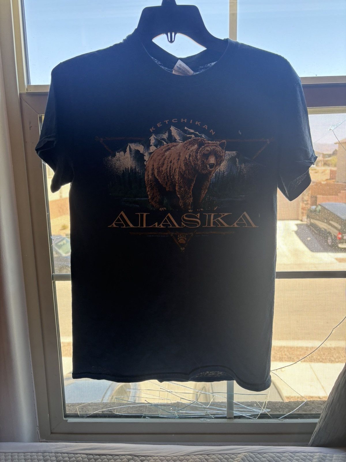 Gildan × Vintage Vintage gildan Alaska graphic tee Size US M / EU 48-50 / 2 - 2 Thumbnail