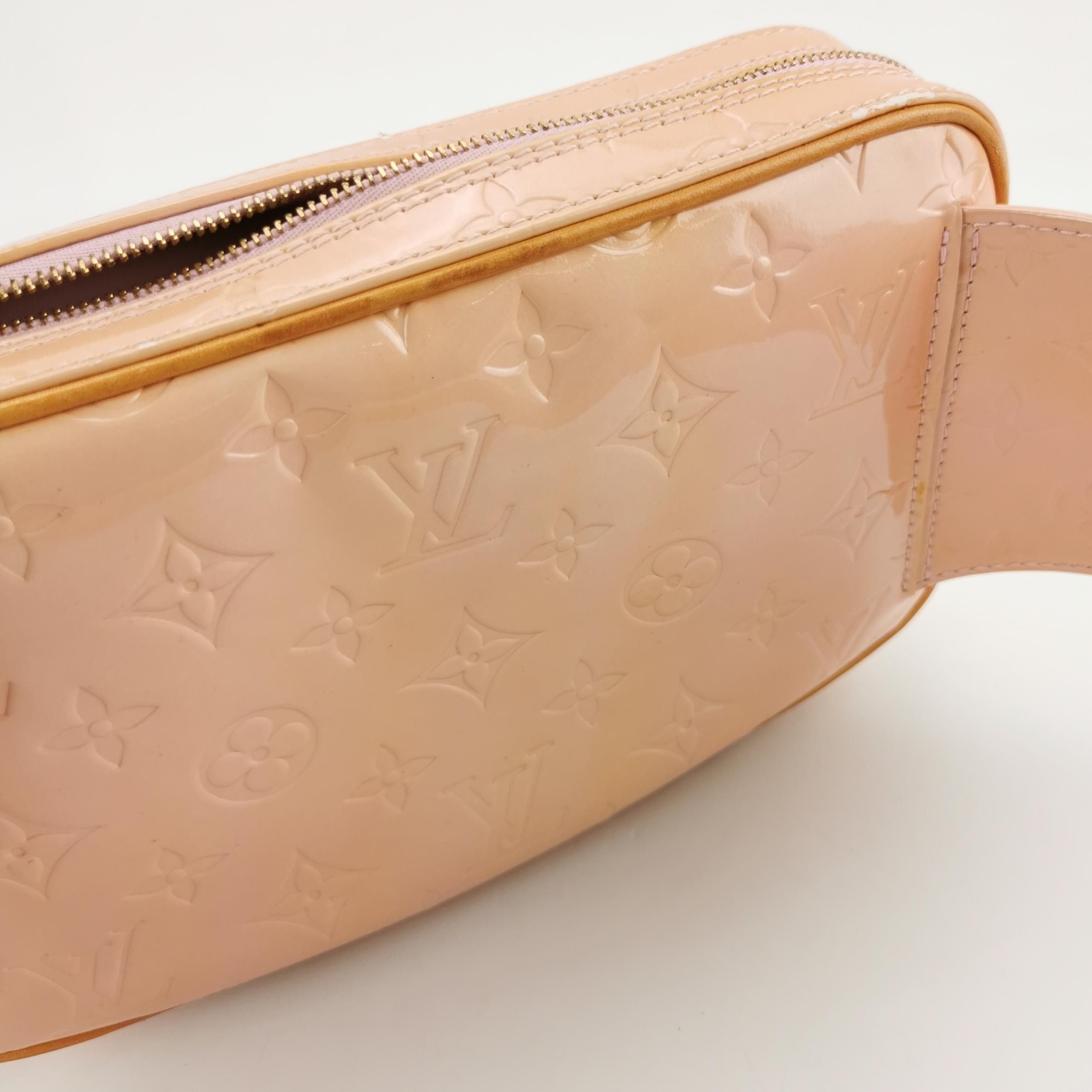 Louis Vuitton Louis Vuitton (LV) Antique Leather Embossed Waist Bag and C Size ONE SIZE - 8 Thumbnail