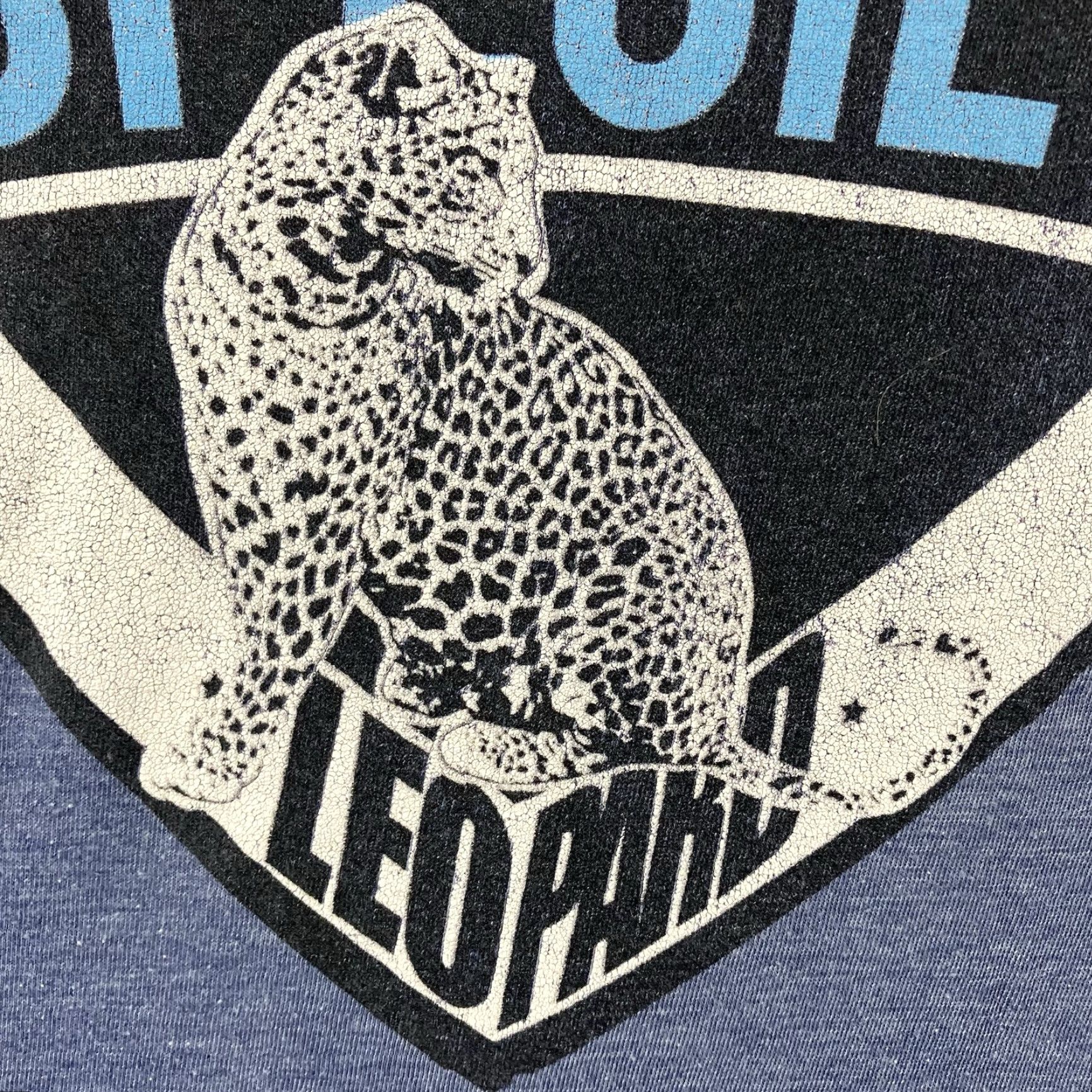 Vintage Endangered Species T Shirt Leopard Big Cats Adult Large Lightweight Thin USA Size US L / EU 52-54 / 3 - 6 Thumbnail