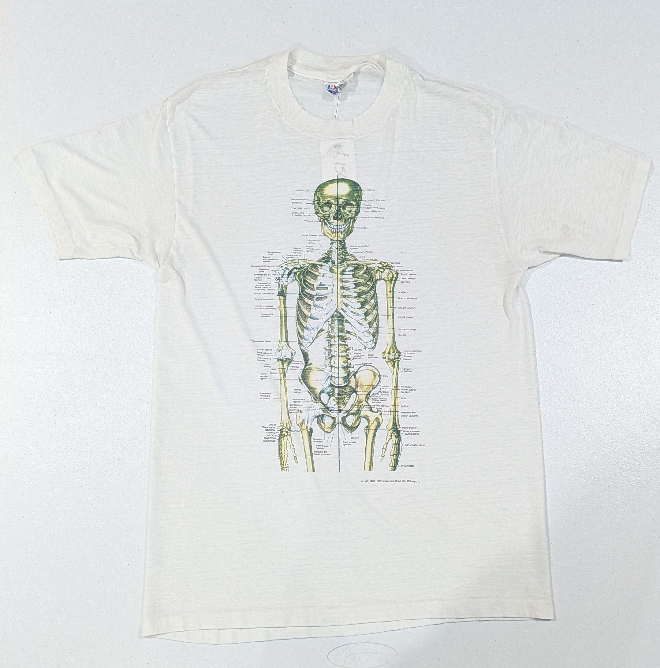 Vintage 80s Anatomical Chart Co. Graphic Tee