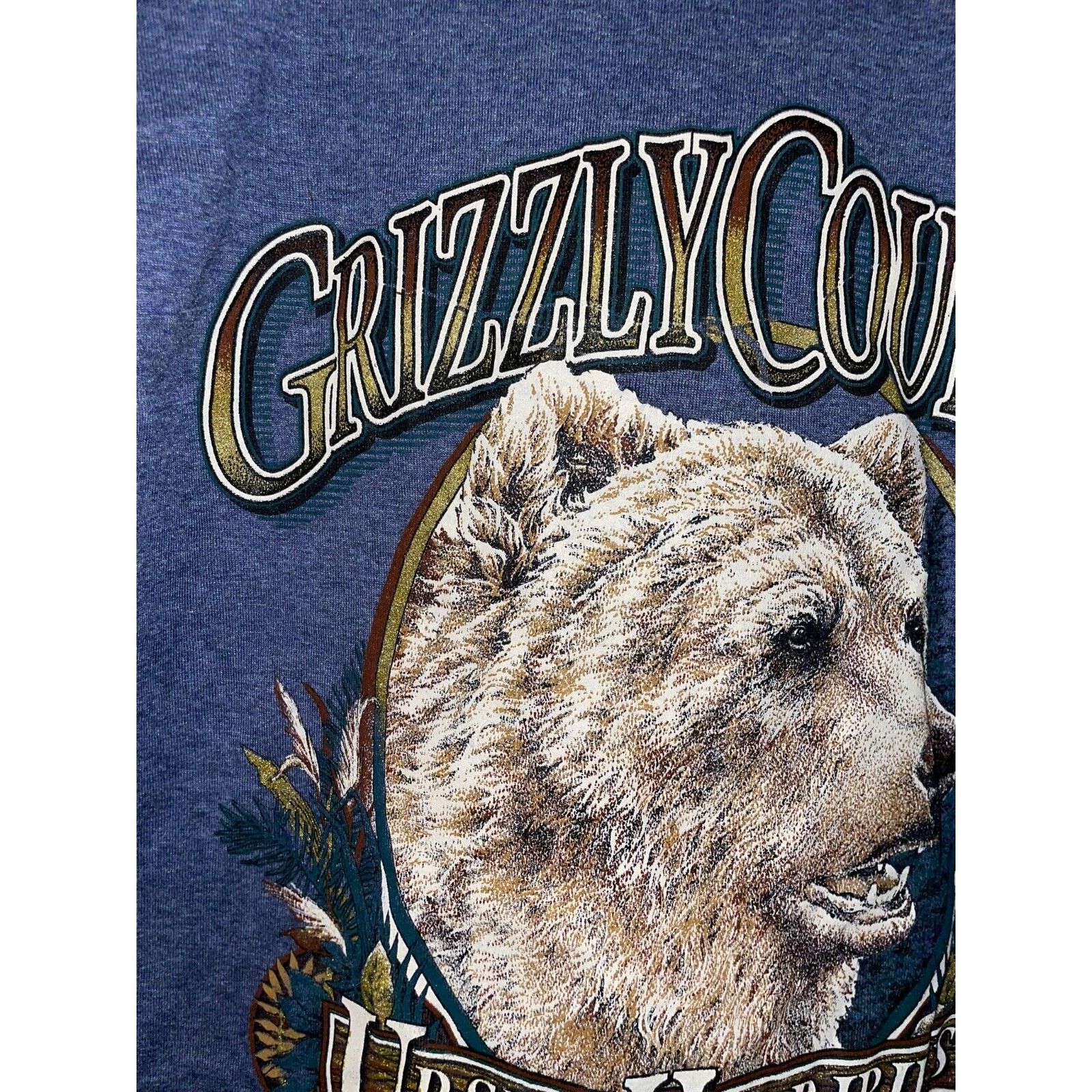 Jerzees Vintage Grizzly Bear Shirt Country Ursus Horribilis 90s Tee Size US L / EU 52-54 / 3 - 5 Thumbnail
