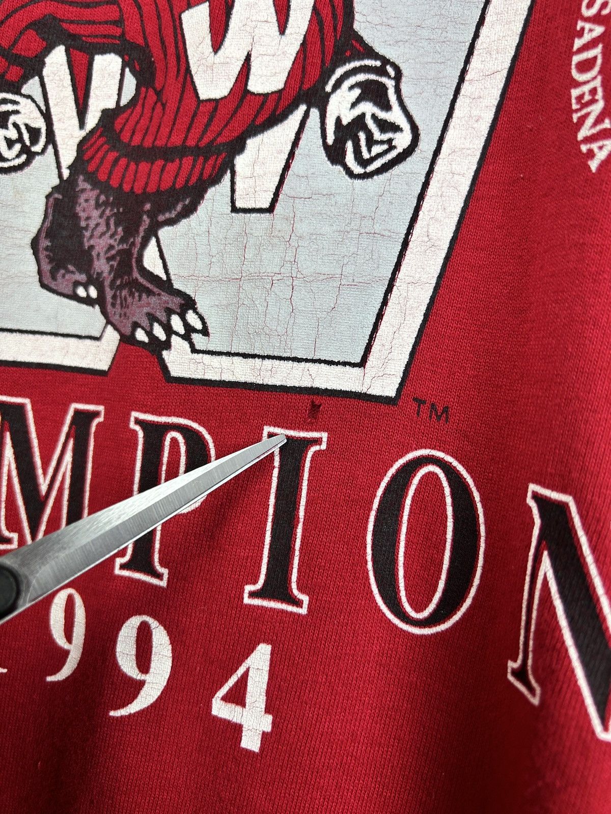 NFL 90s Rose Bown Wisconsin Badgers 1994 Champions T-Shirt Red L Size US L / EU 52-54 / 3 - 5 Thumbnail