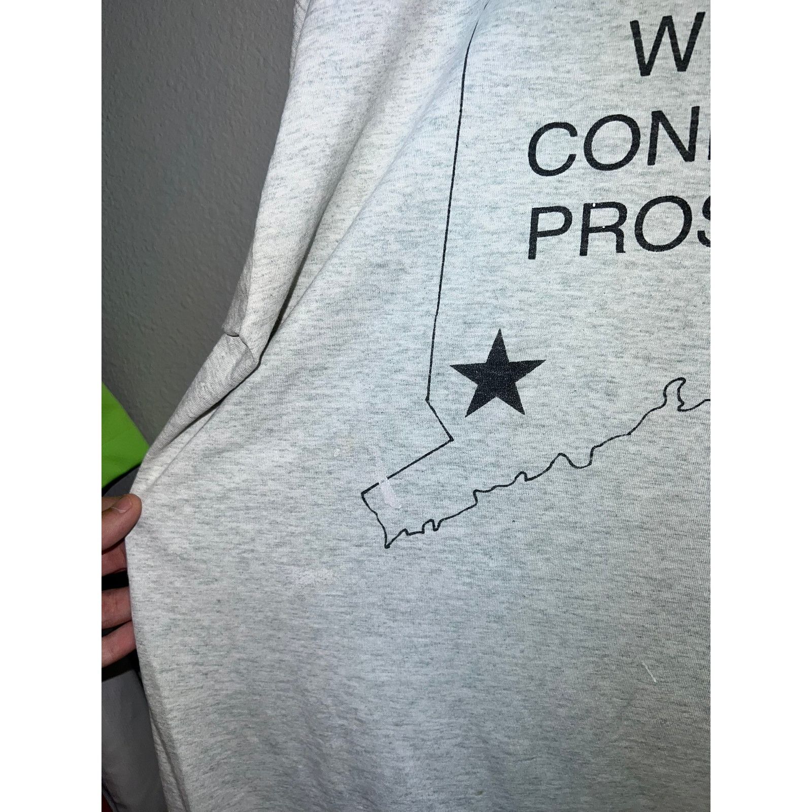 Fruit Of The Loom Vintage Prosthetic Shirt Western Connecticut Gray Tee 90s XL Size US XL / EU 56 / 4 - 5 Thumbnail