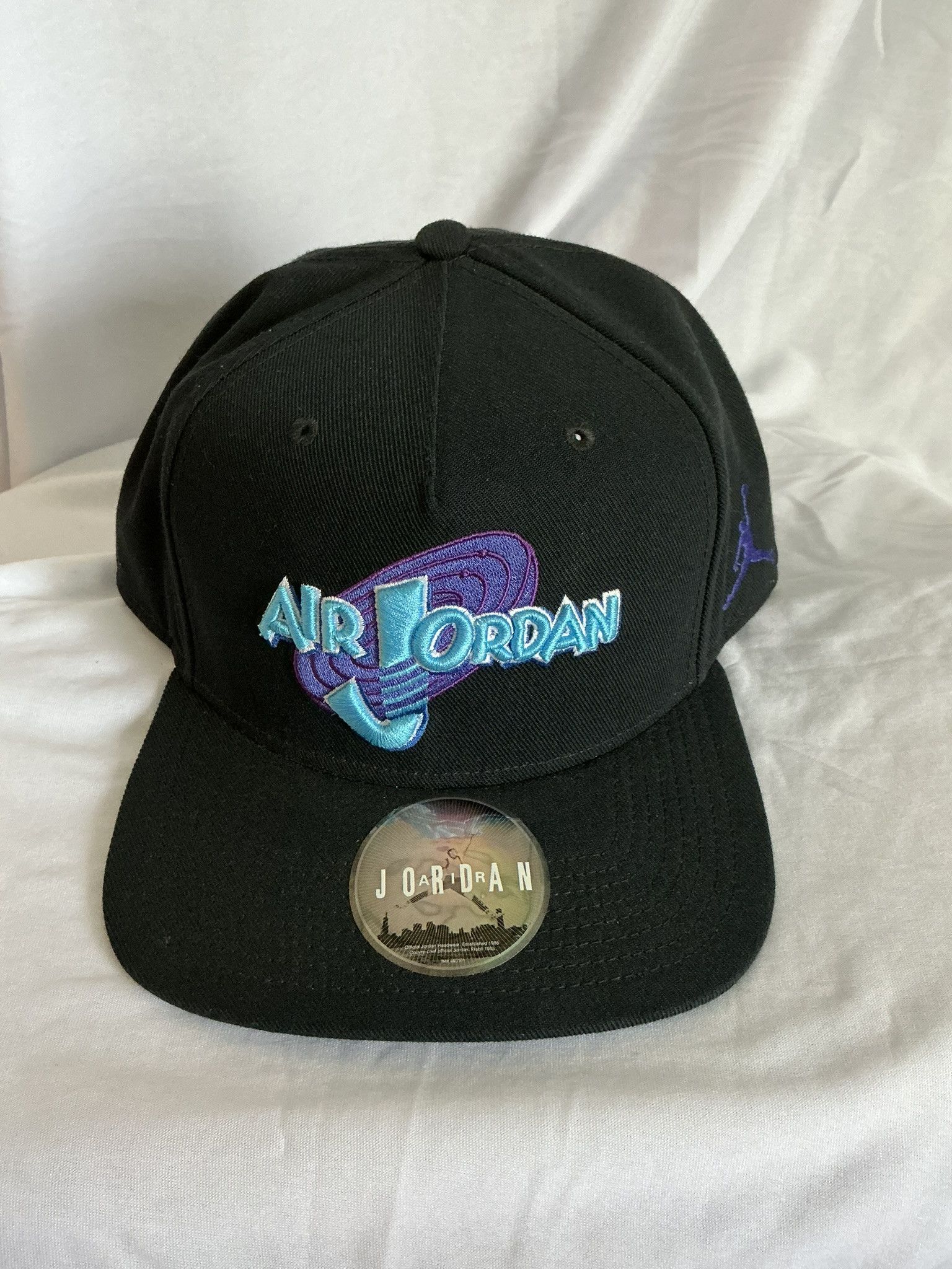 Jordan Space Jam Cap