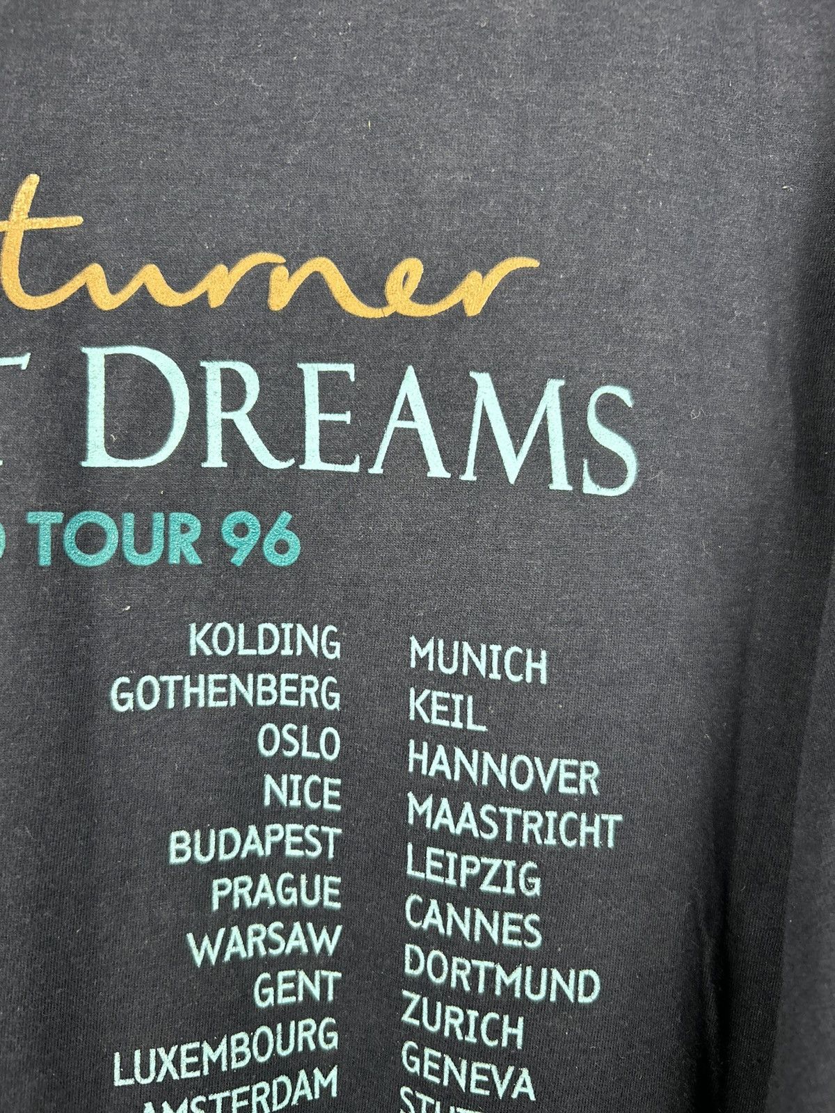 Band Tees Vintage 90s Tina Turner Wildest Dreams World Tour 1996 Tee Size US XL / EU 56 / 4 - 15 Thumbnail