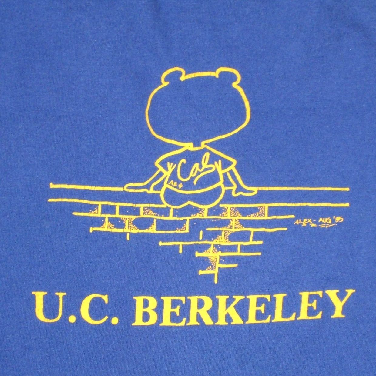 Fruit Of The Loom VINTAGE UC Berkeley Tau House Oski T Shirt Fruit of the Loom Blue XL USA Size US XL / EU 56 / 4 - 3 Thumbnail